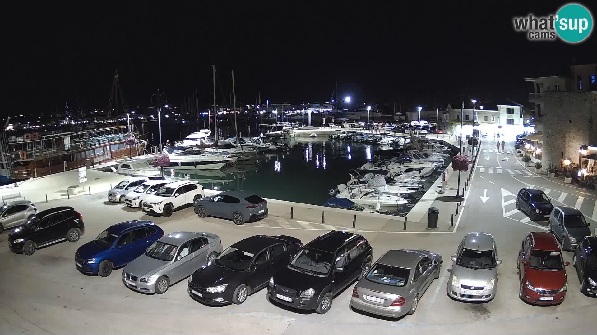 Novigrad | Porporela marina