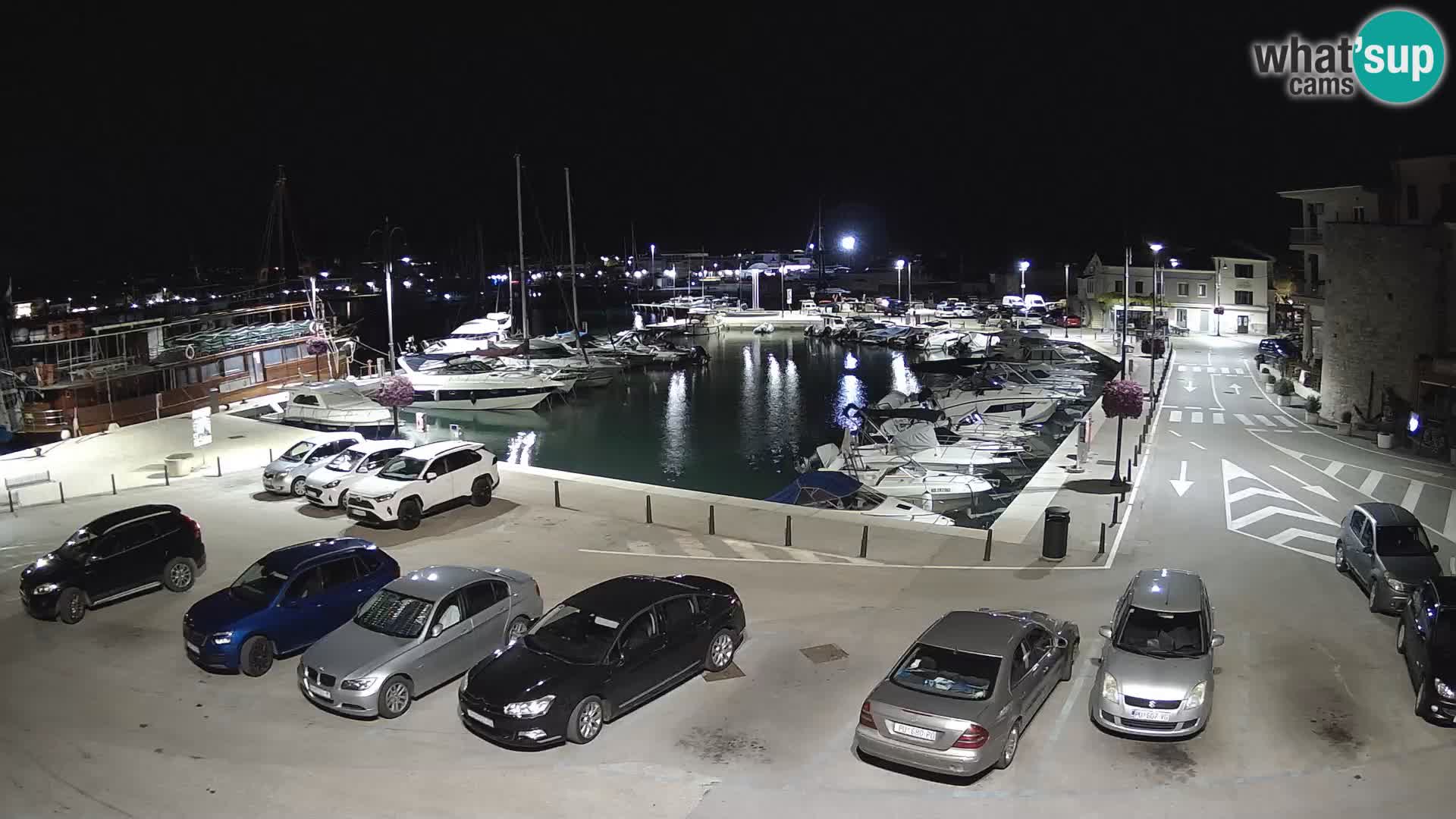 Novigrad | Porporela marina