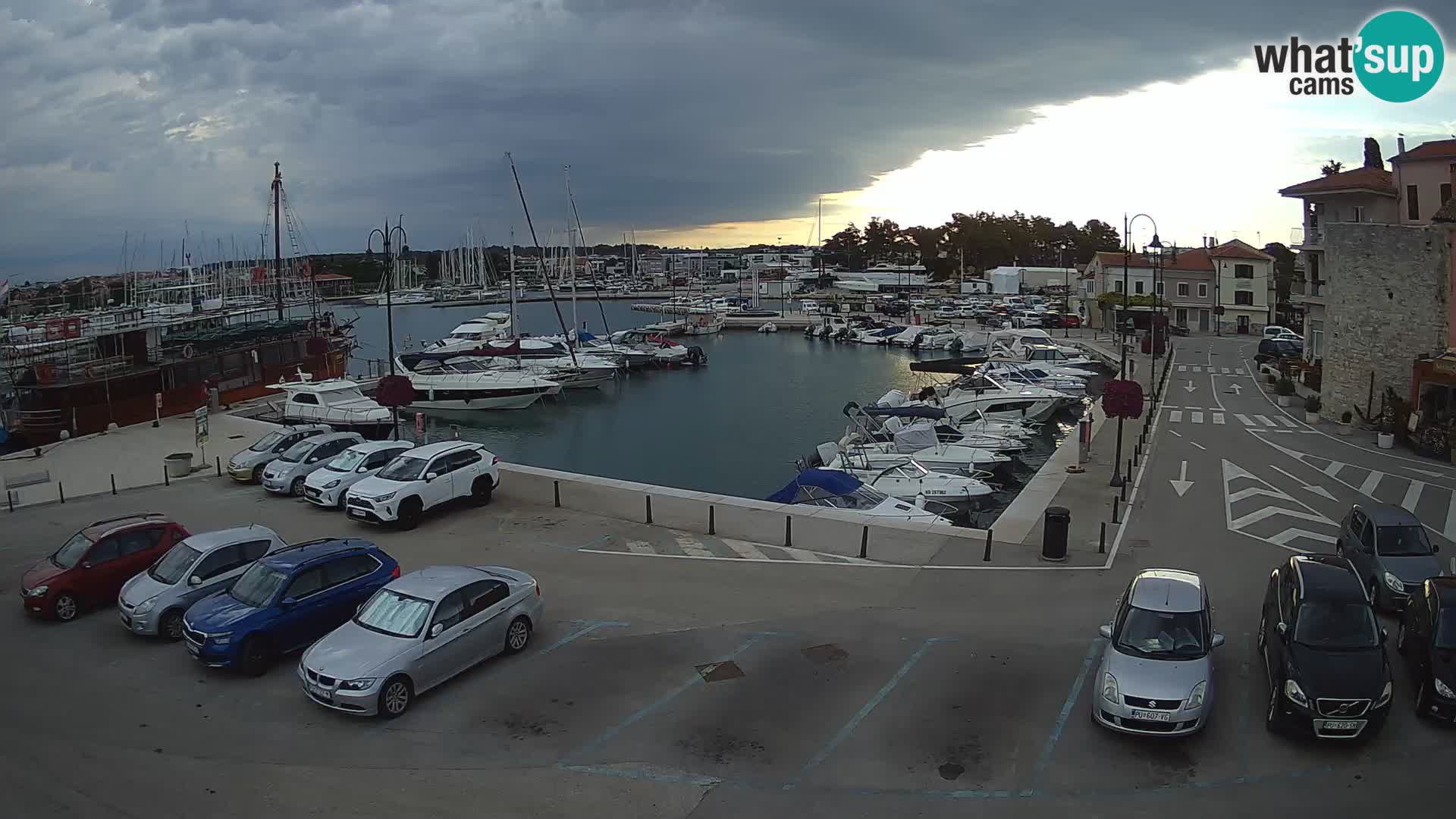 Novigrad | Porporela marina