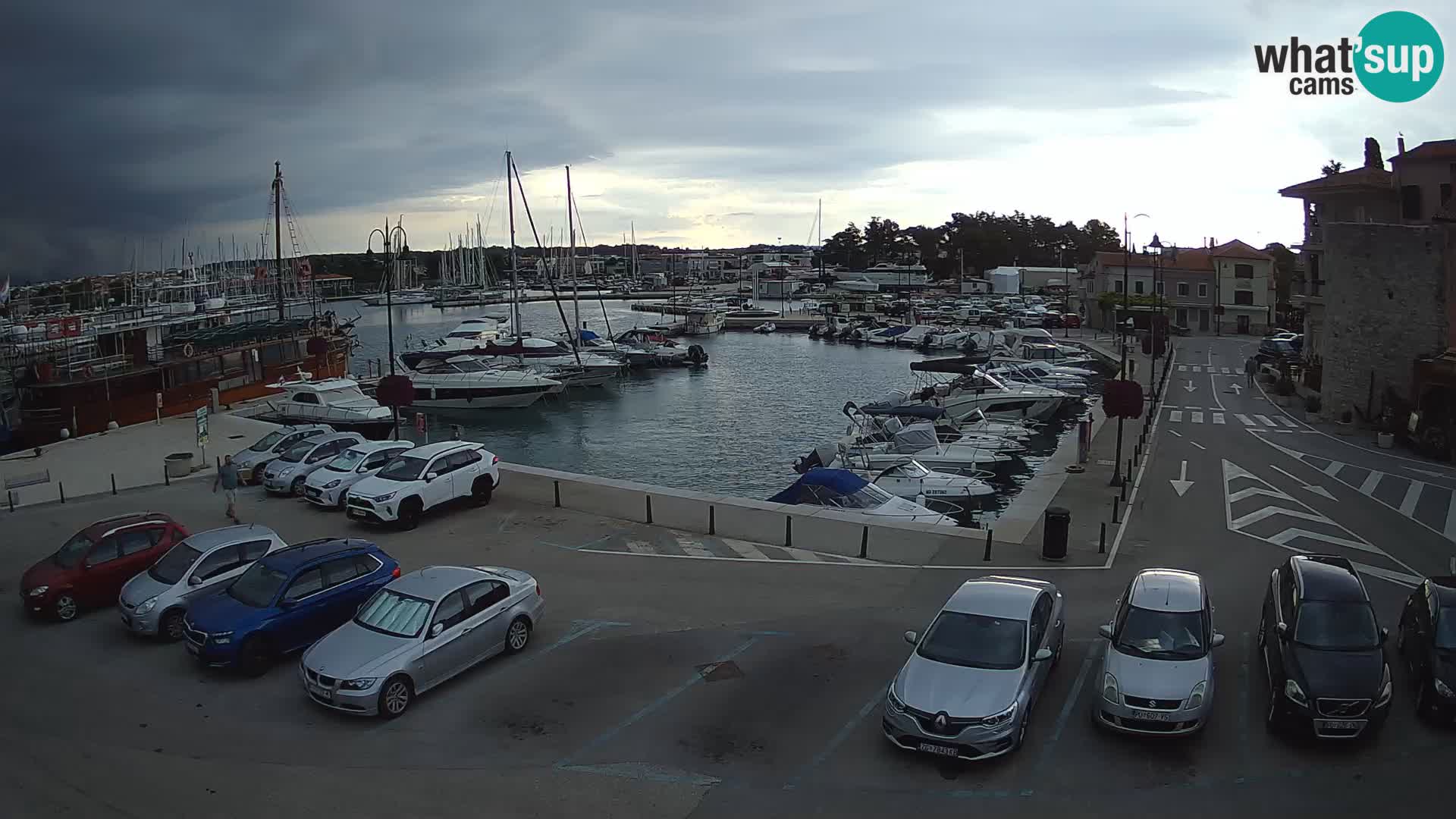Novigrad | Porporela marina