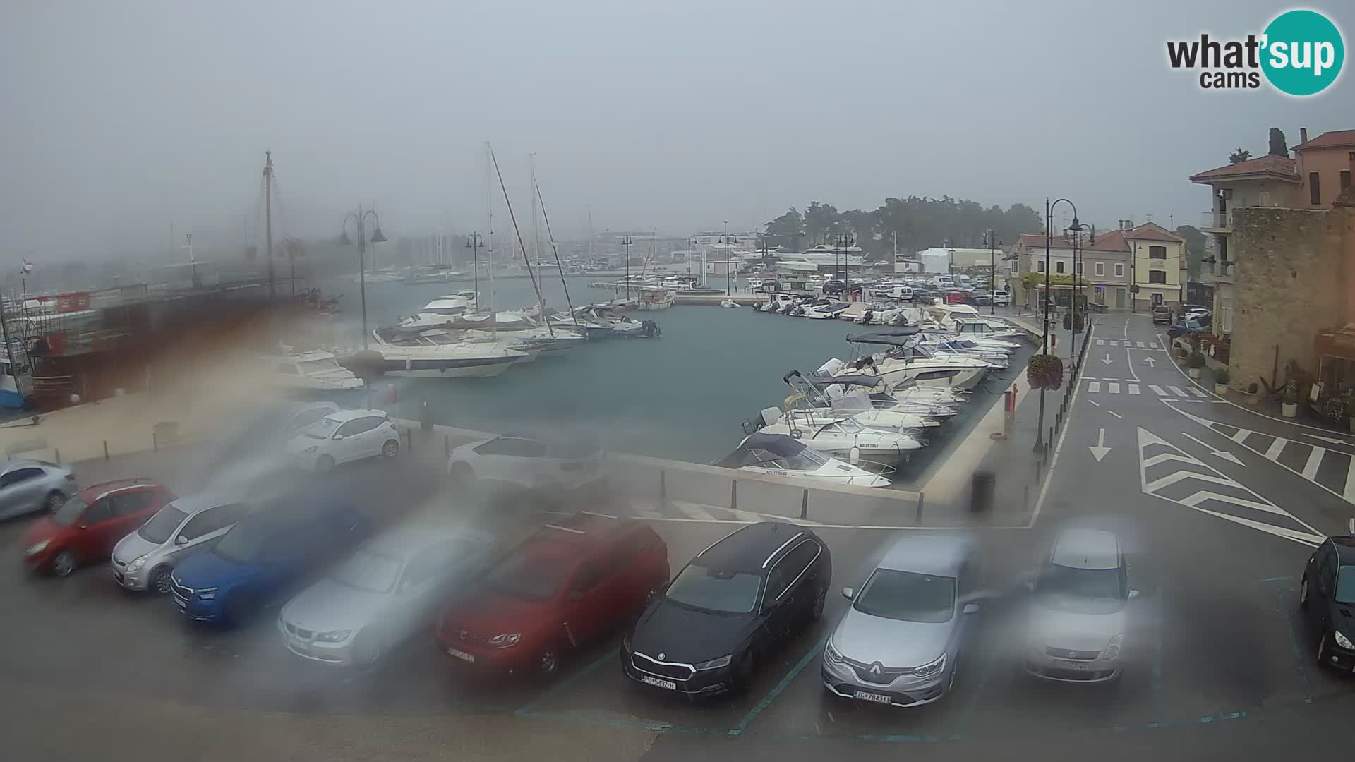 Novigrad | Porporela marina