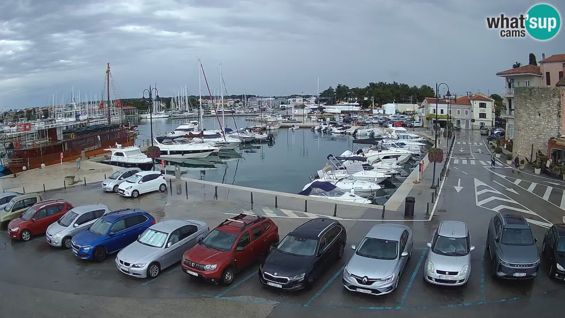 Novigrad | Porporela marina