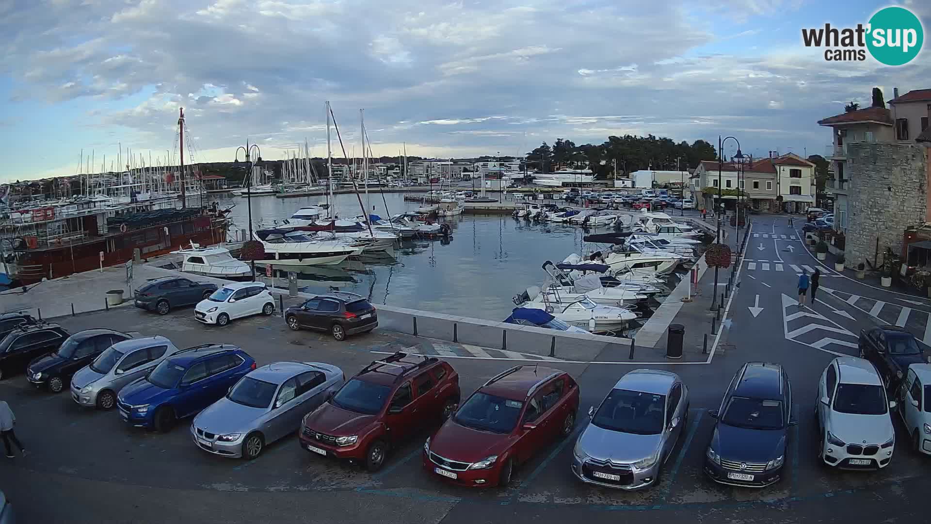 Novigrad | Porporela marina