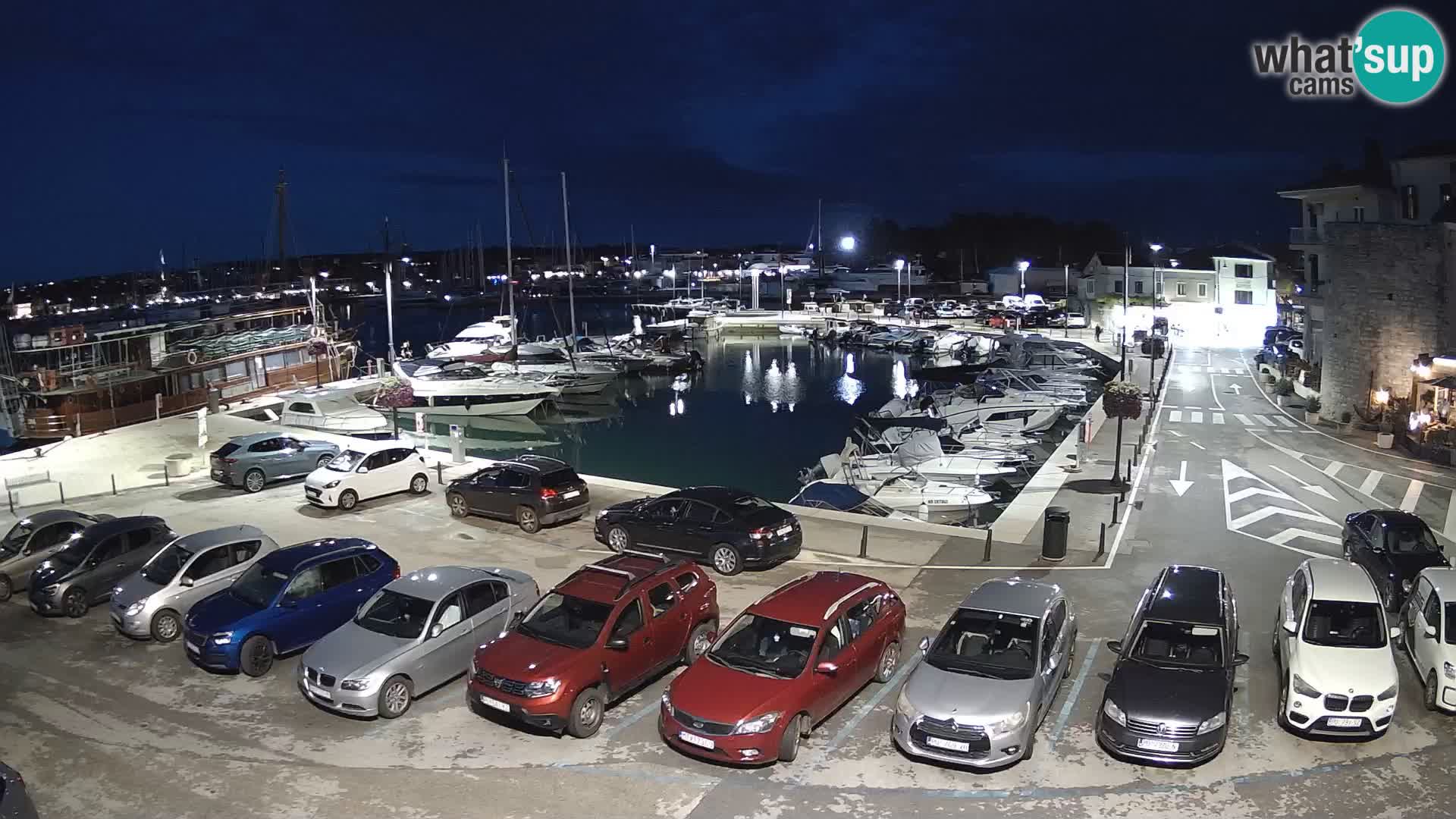 Novigrad | Porporela marina
