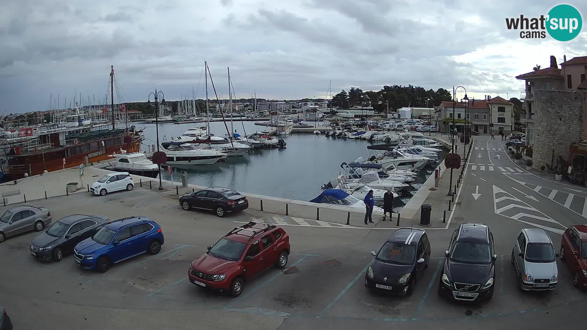 Novigrad | Porporela marina