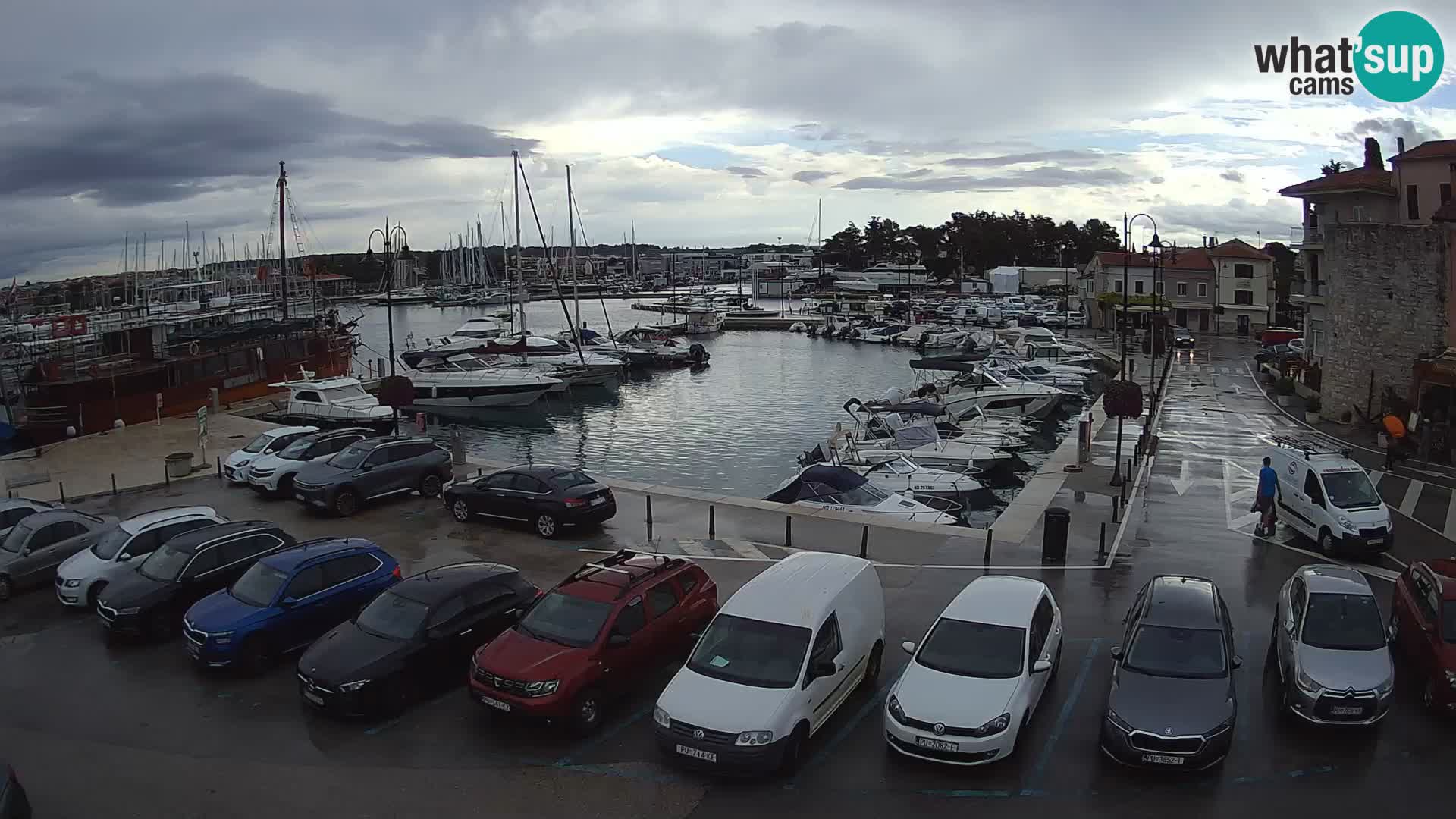 Novigrad | Porporela marina