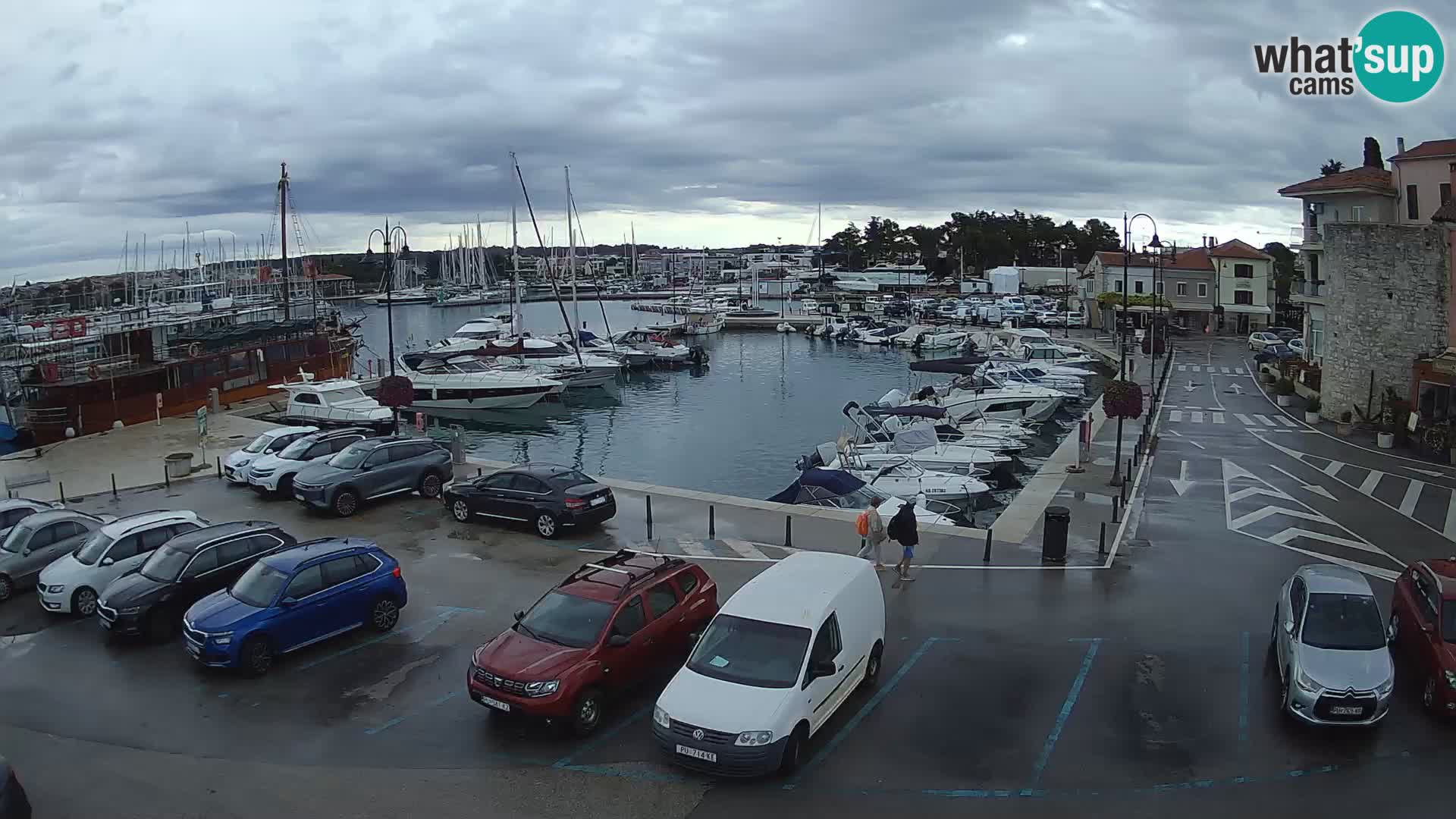 Novigrad | Porporela marina