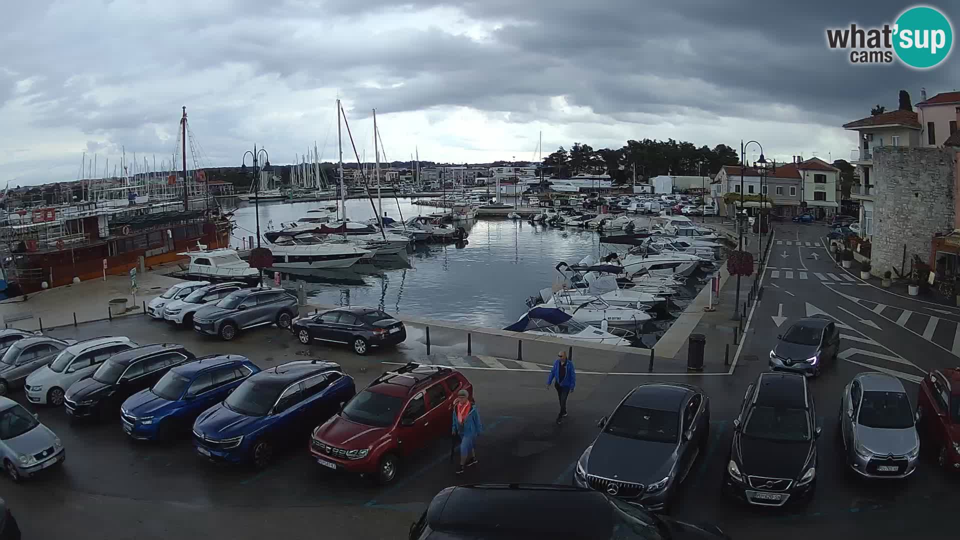 Novigrad | Porporela marina