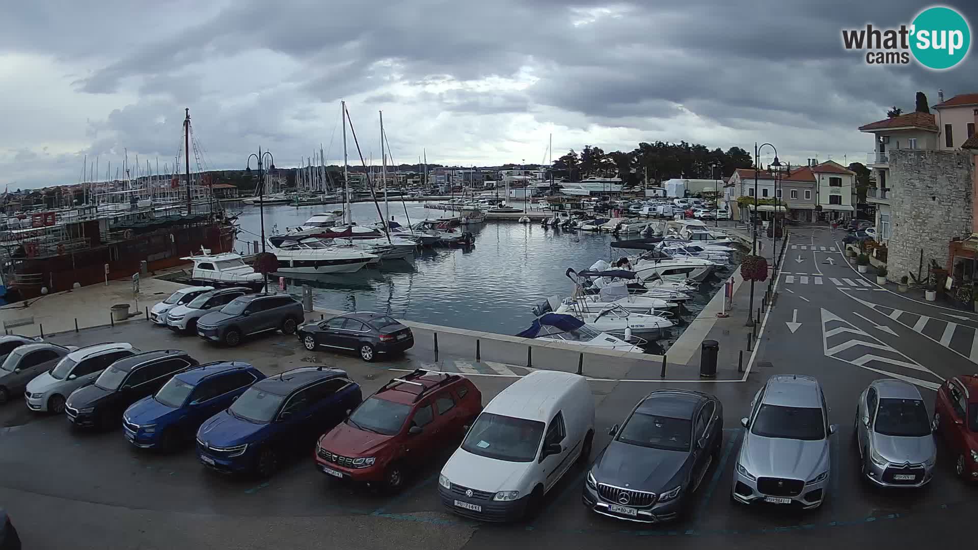 Novigrad | Porporela marina
