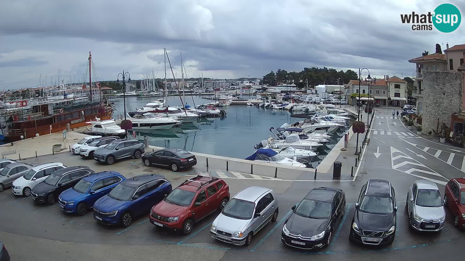 Novigrad | Porporela marina