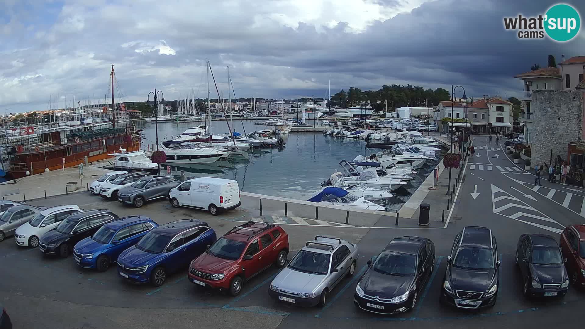 Novigrad | Porporela marina