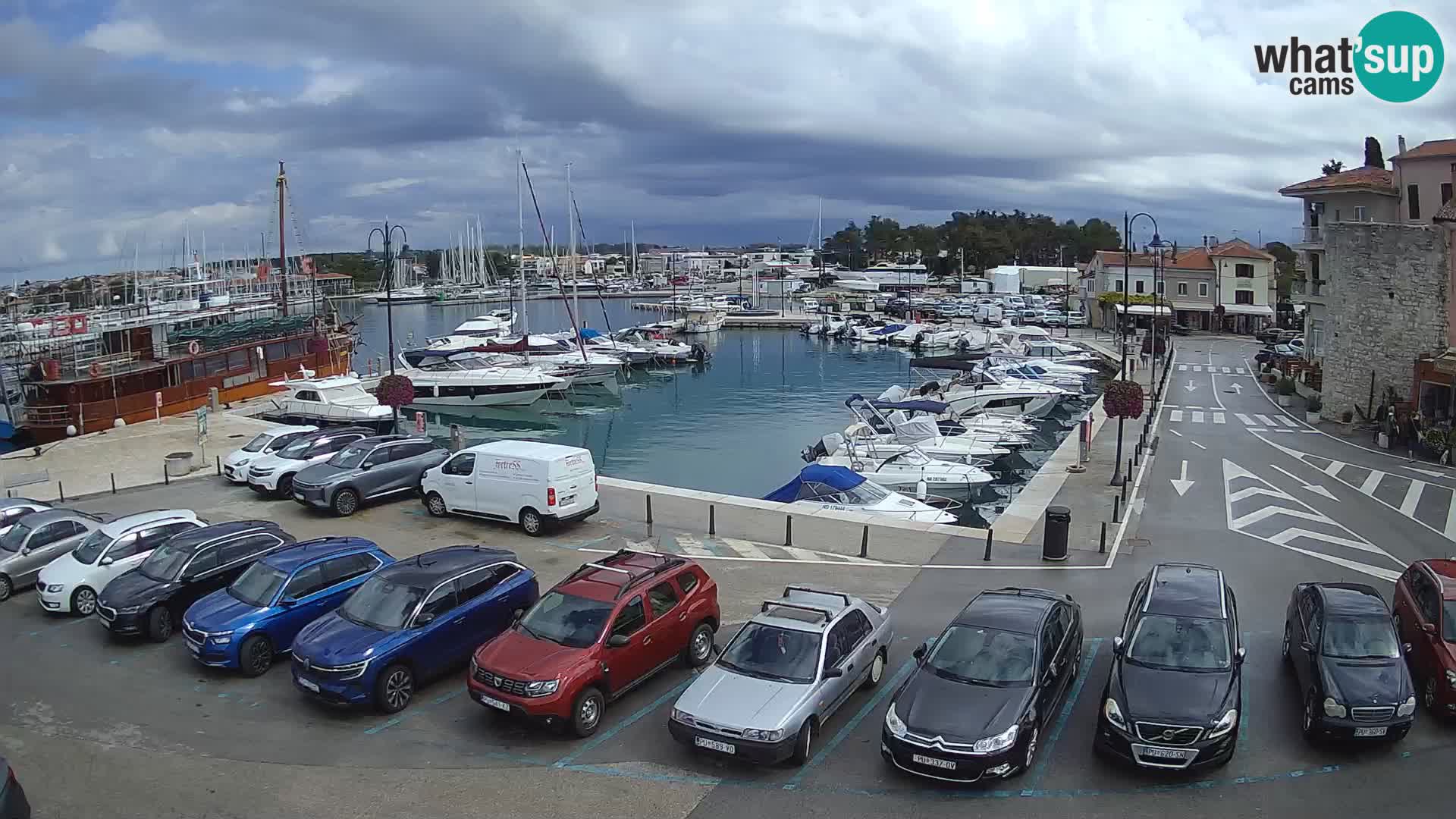 Novigrad | Porporela marina