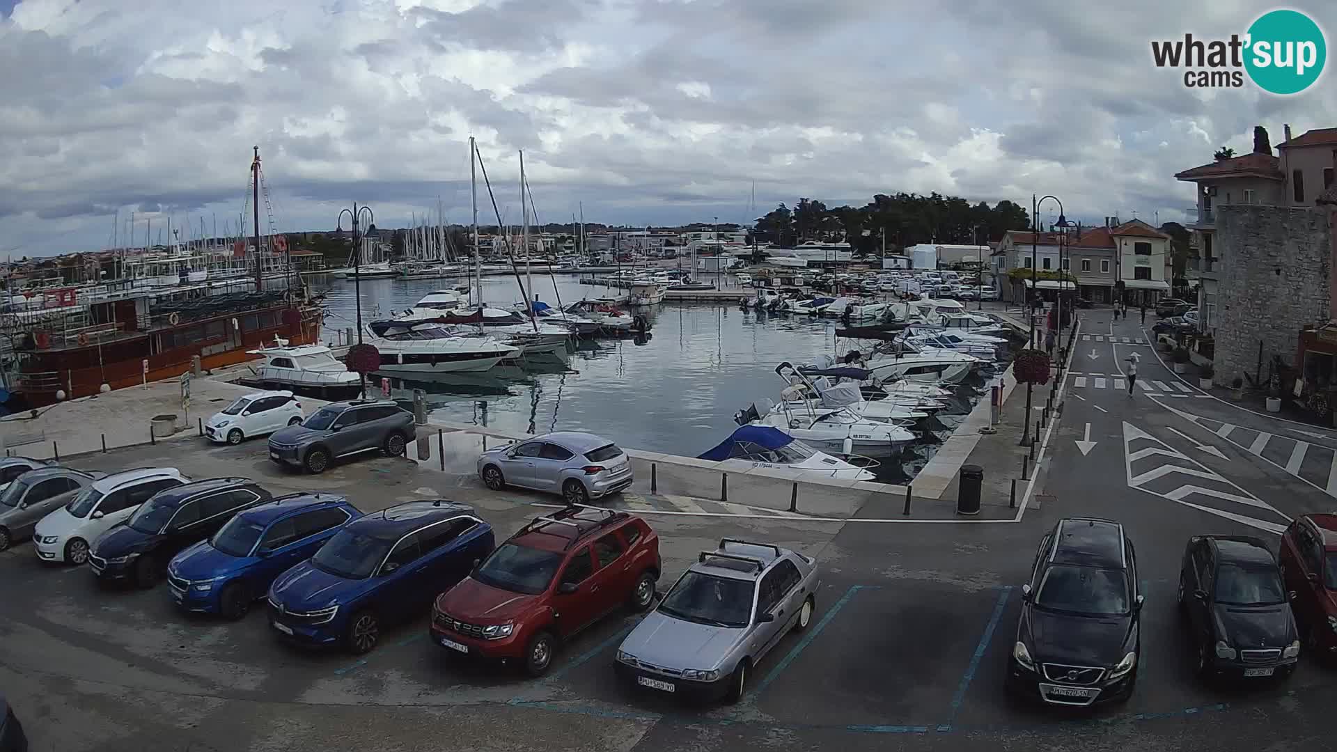 Novigrad | Porporela marina