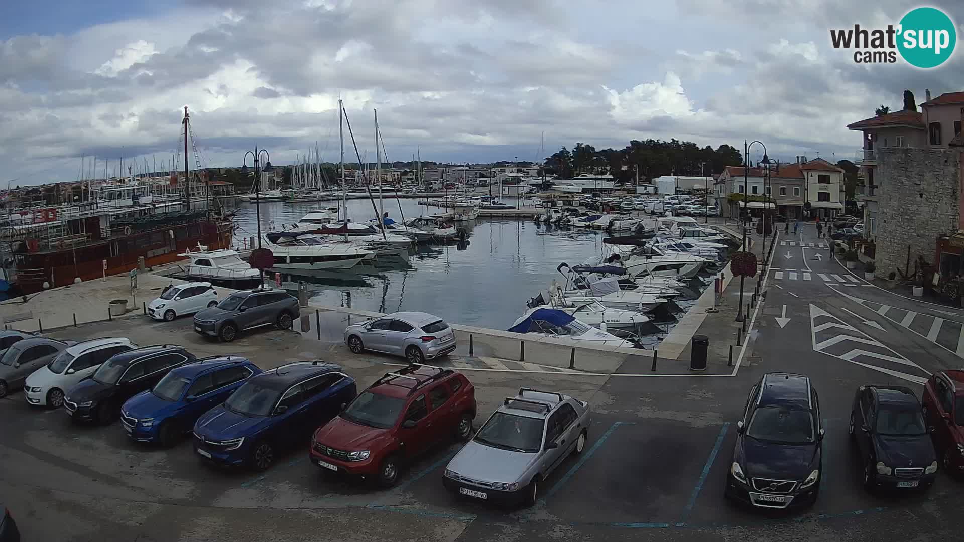 Novigrad | Porporela marina