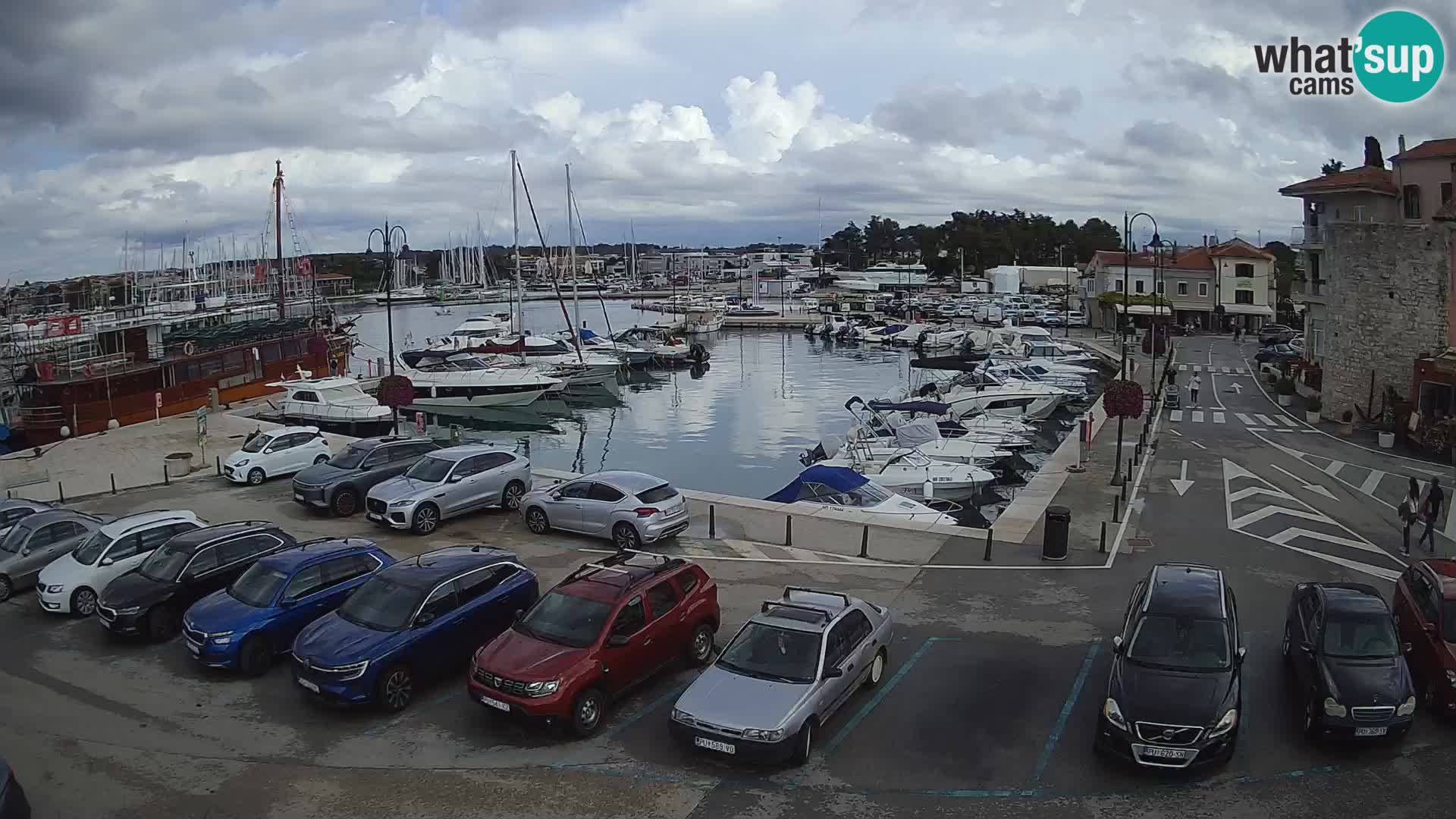 Novigrad | Porporela marina