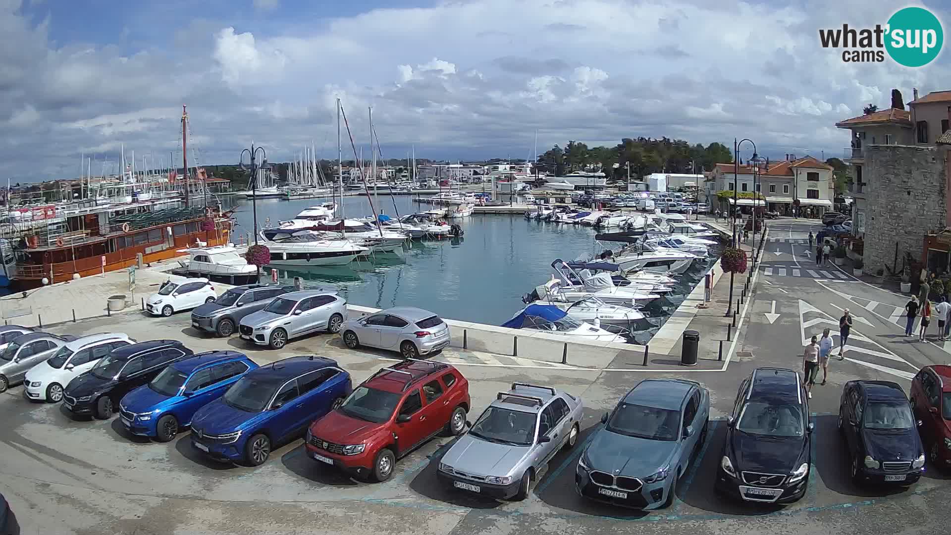 Novigrad | Porporela marina