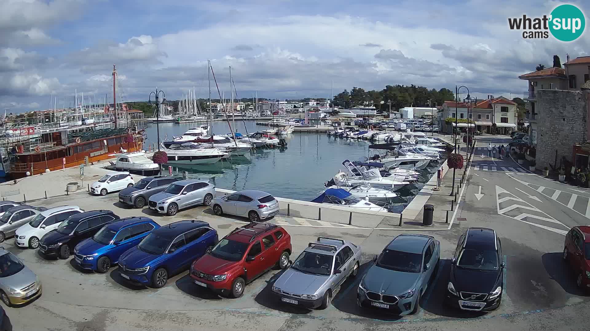 Novigrad | Porporela marina