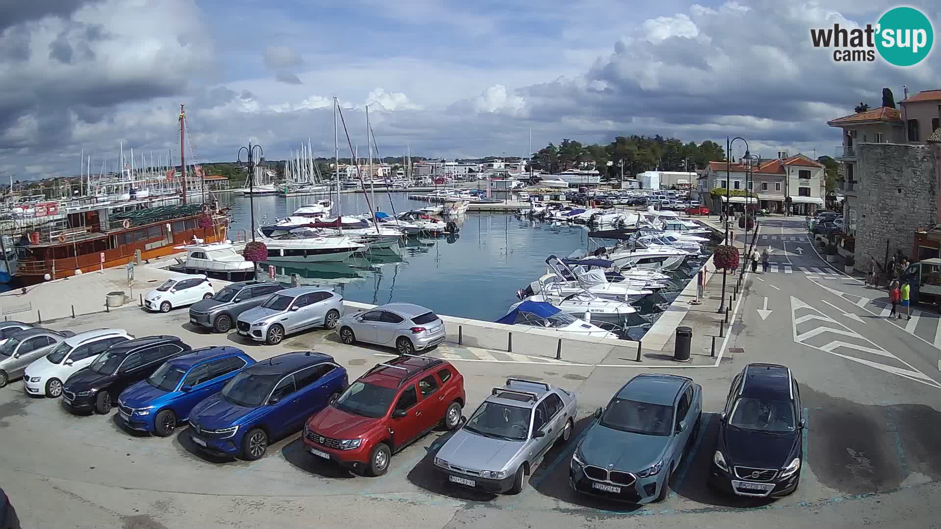 Novigrad | Porporela marina
