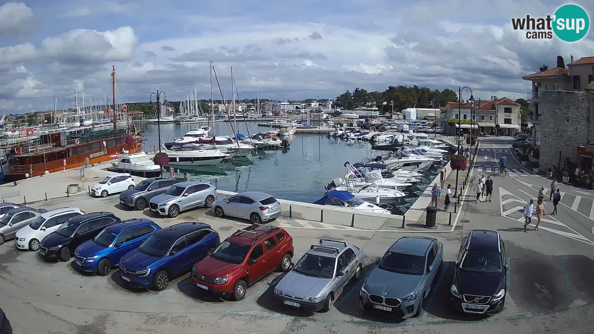 Novigrad | Porporela marina