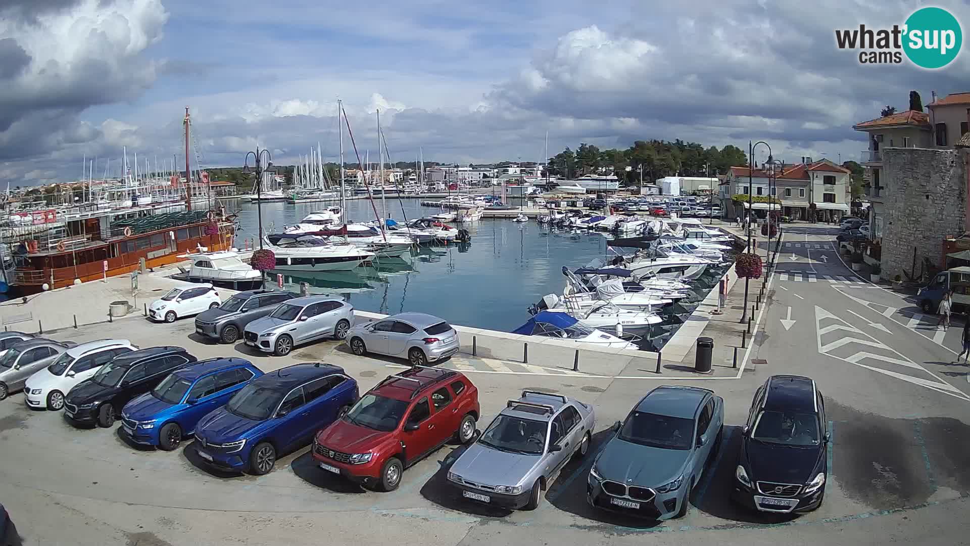 Novigrad | Porporela marina