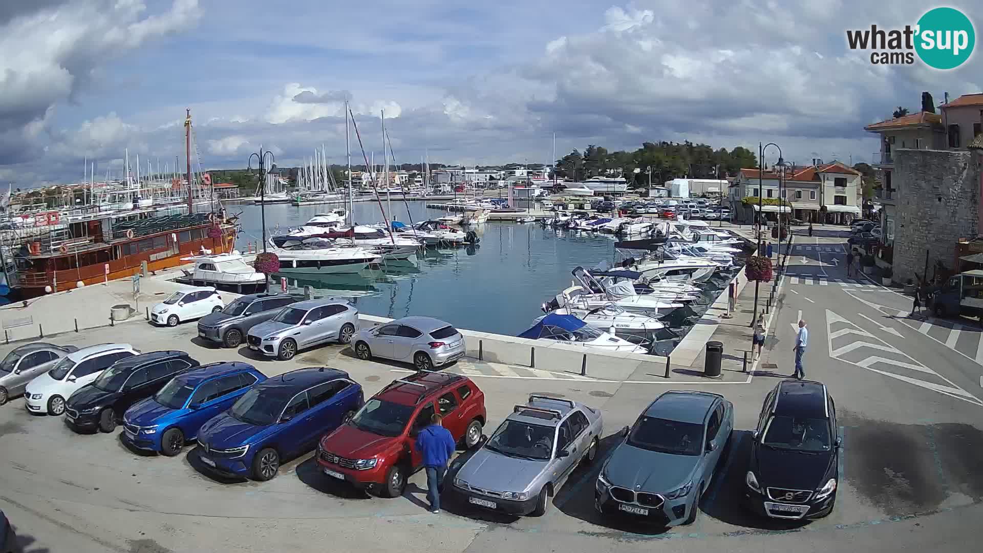 Novigrad | Porporela marina
