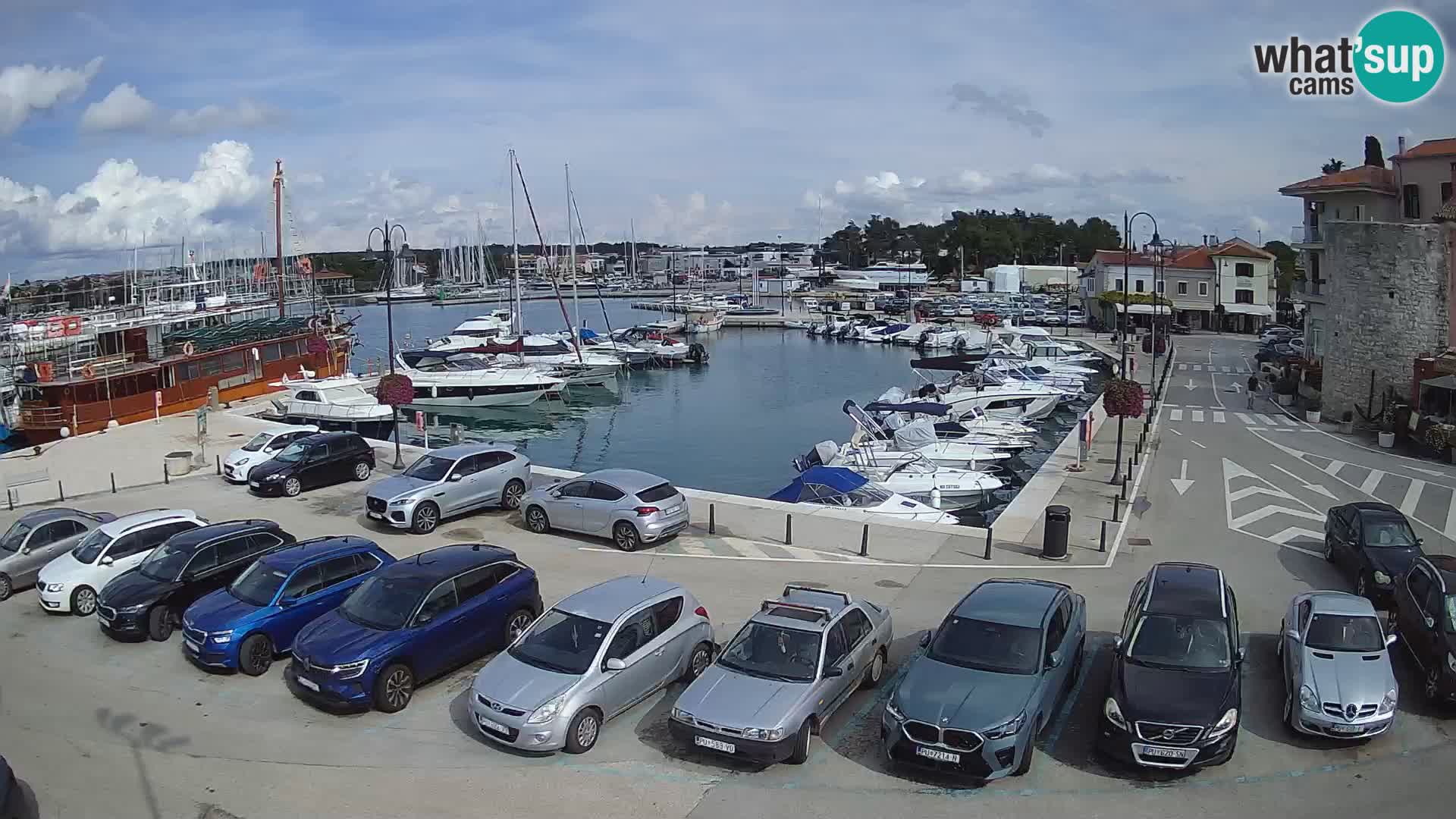 Novigrad | Porporela marina