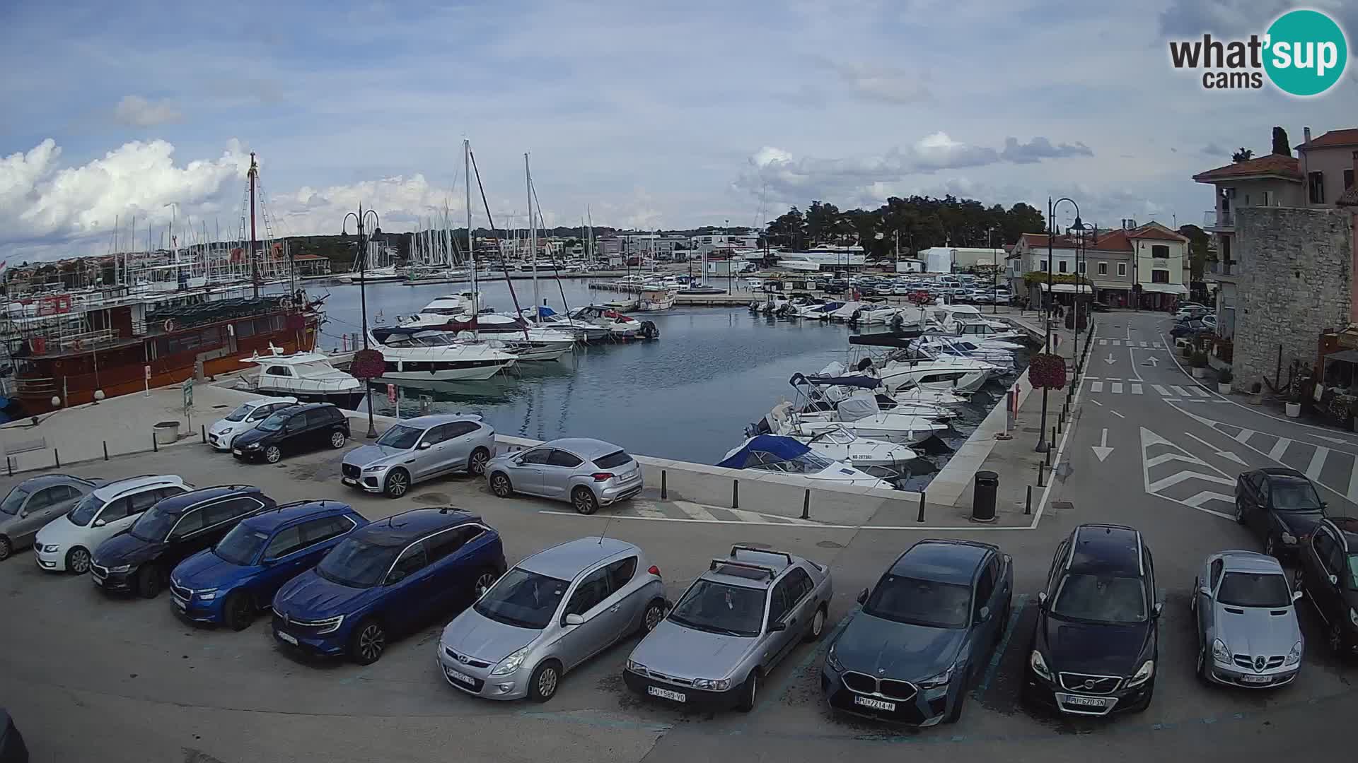 Novigrad | Porporela marina