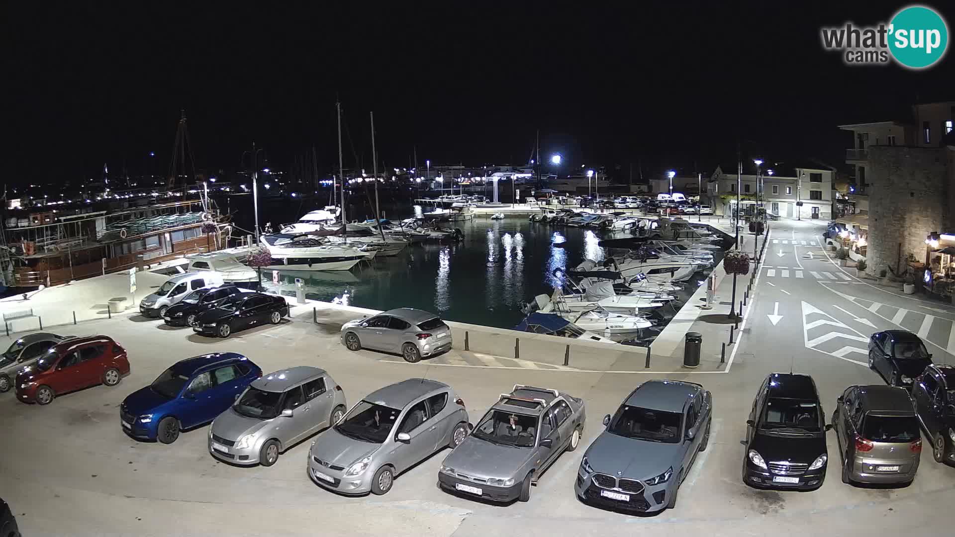 Novigrad | Porporela marina