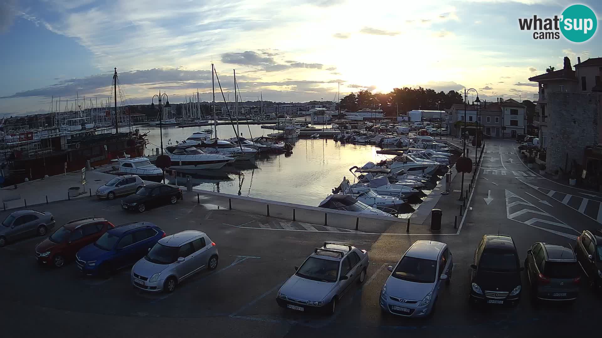 Novigrad | Porporela marina