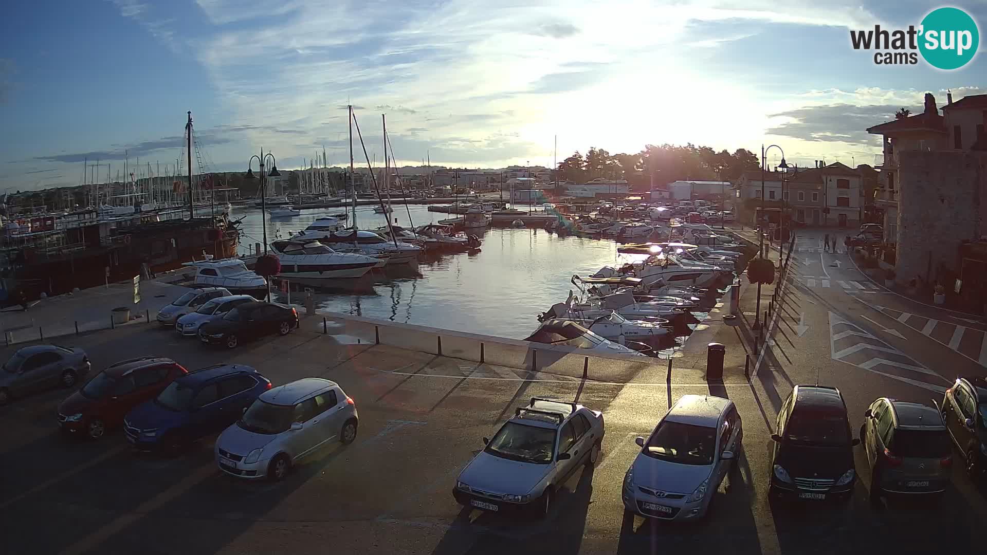 Novigrad | Porporela marina