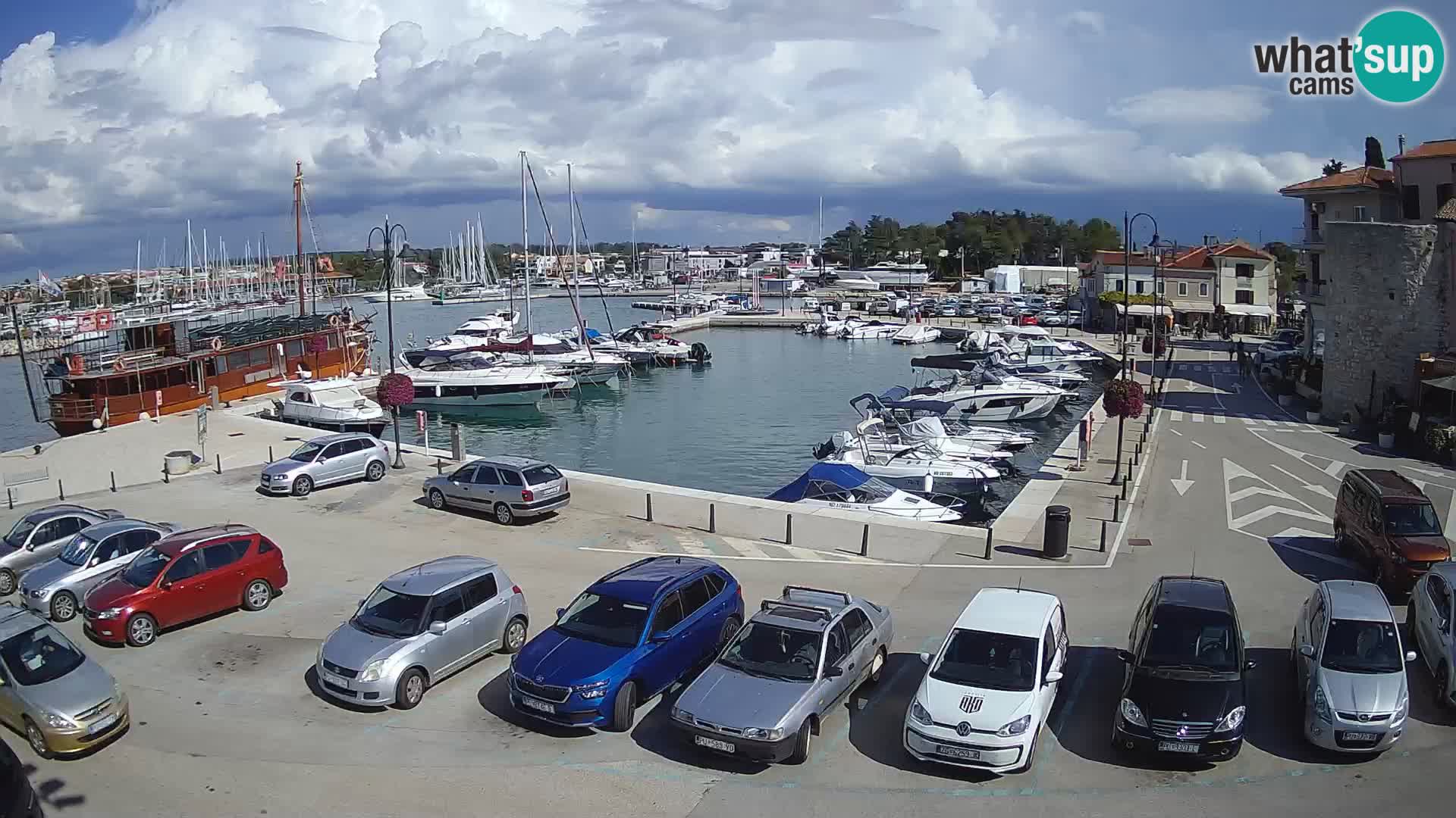Novigrad | Porporela marina