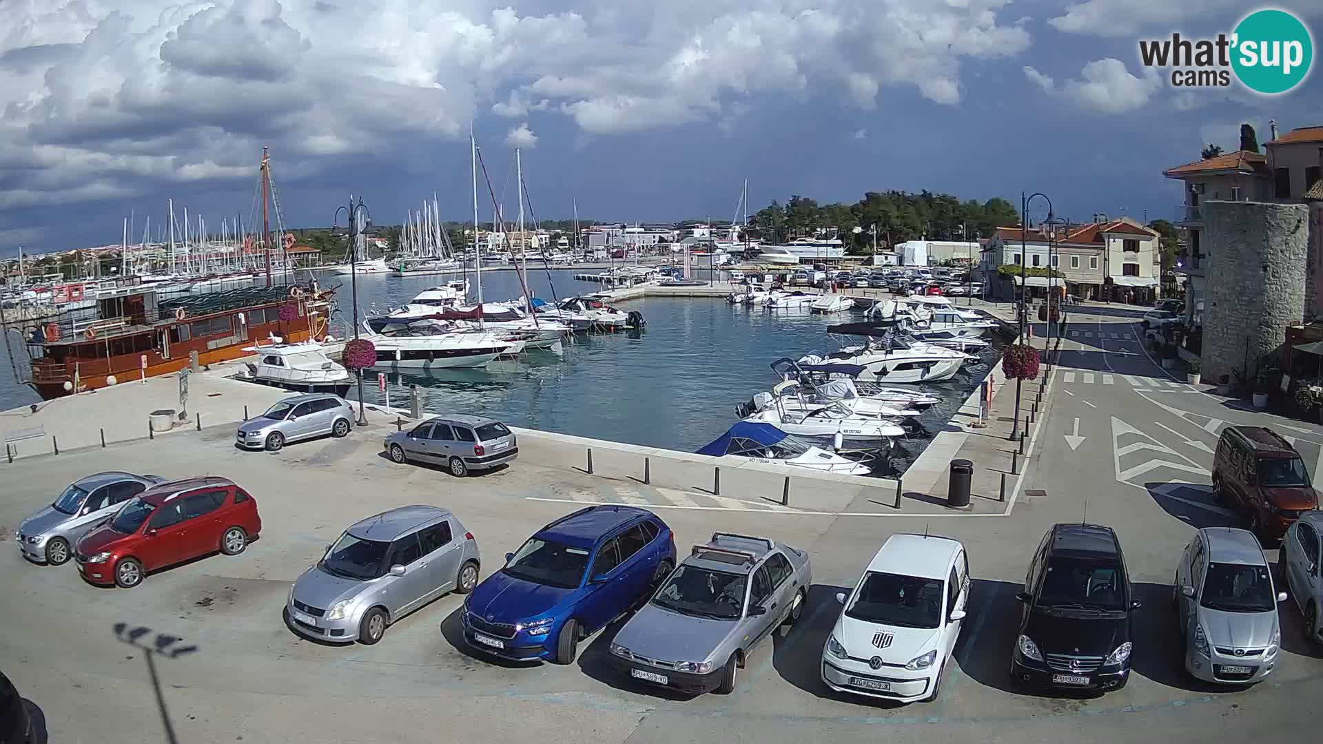 Novigrad | Porporela marina