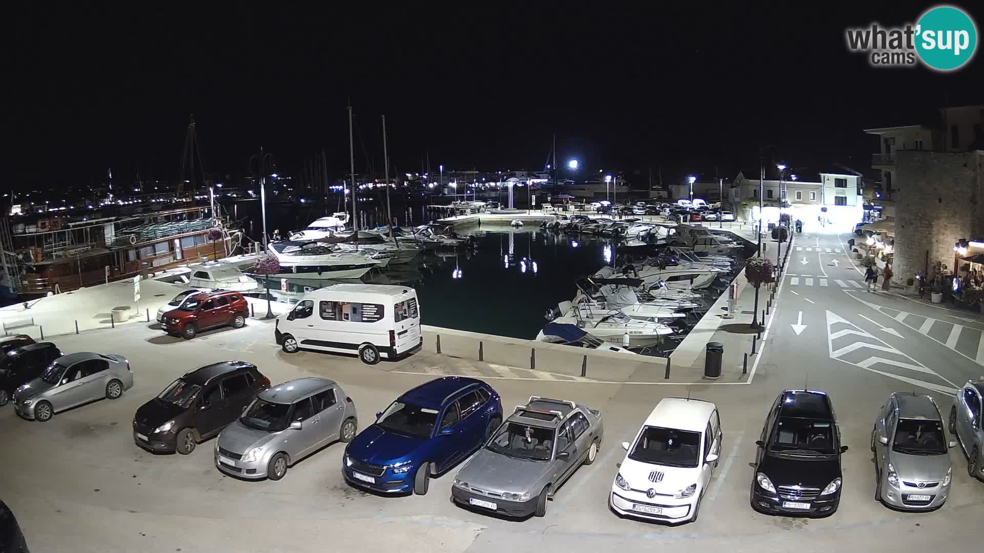 Novigrad | Porporela marina