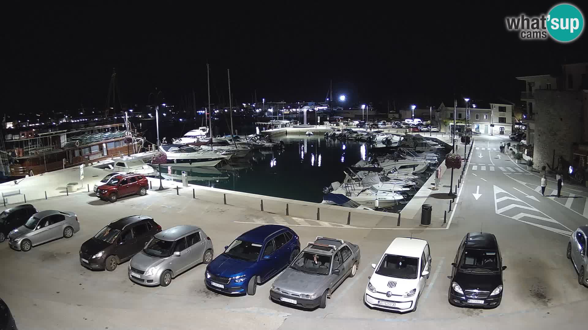 Novigrad | Porporela marina