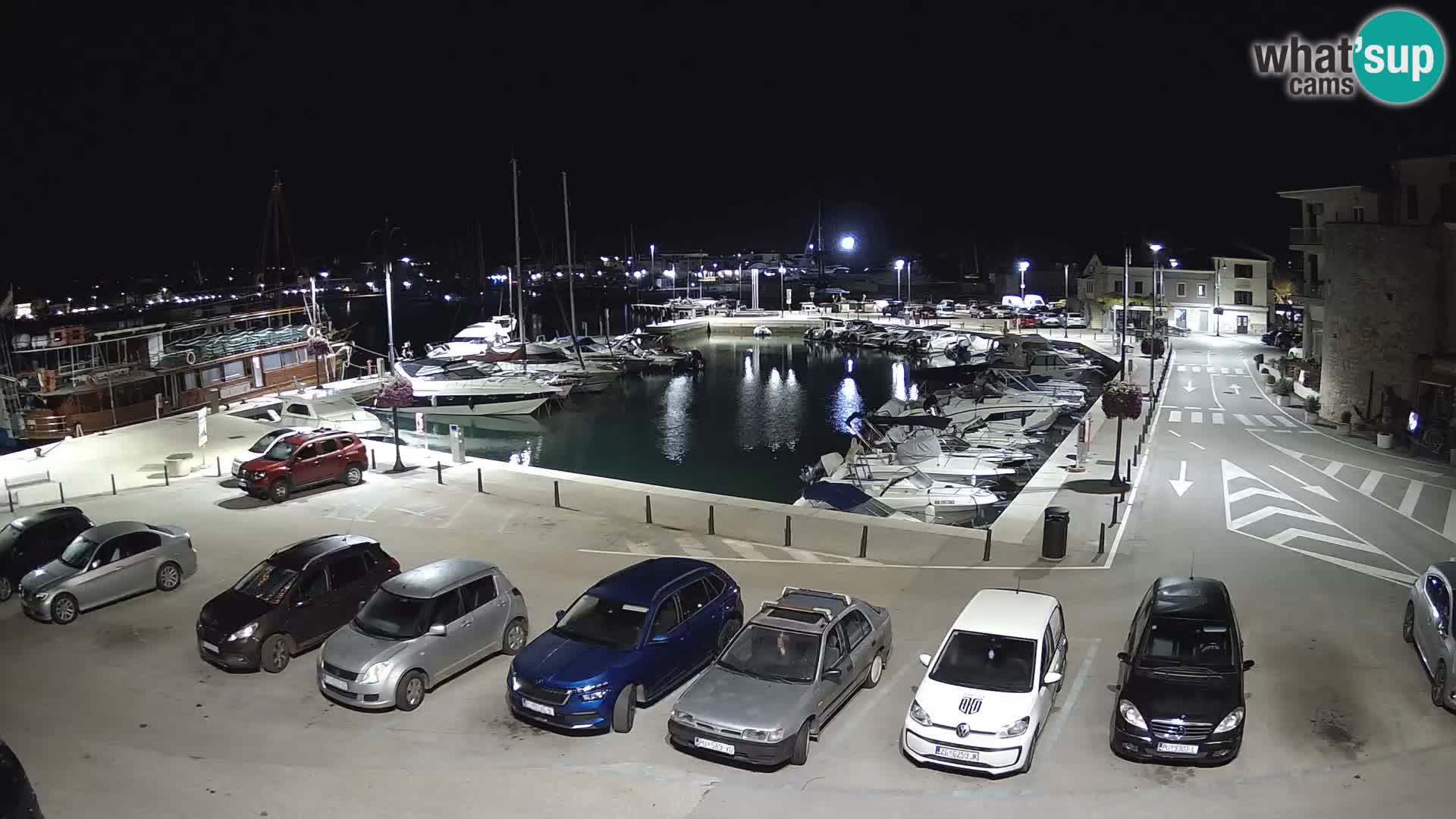 Novigrad | Porporela marina