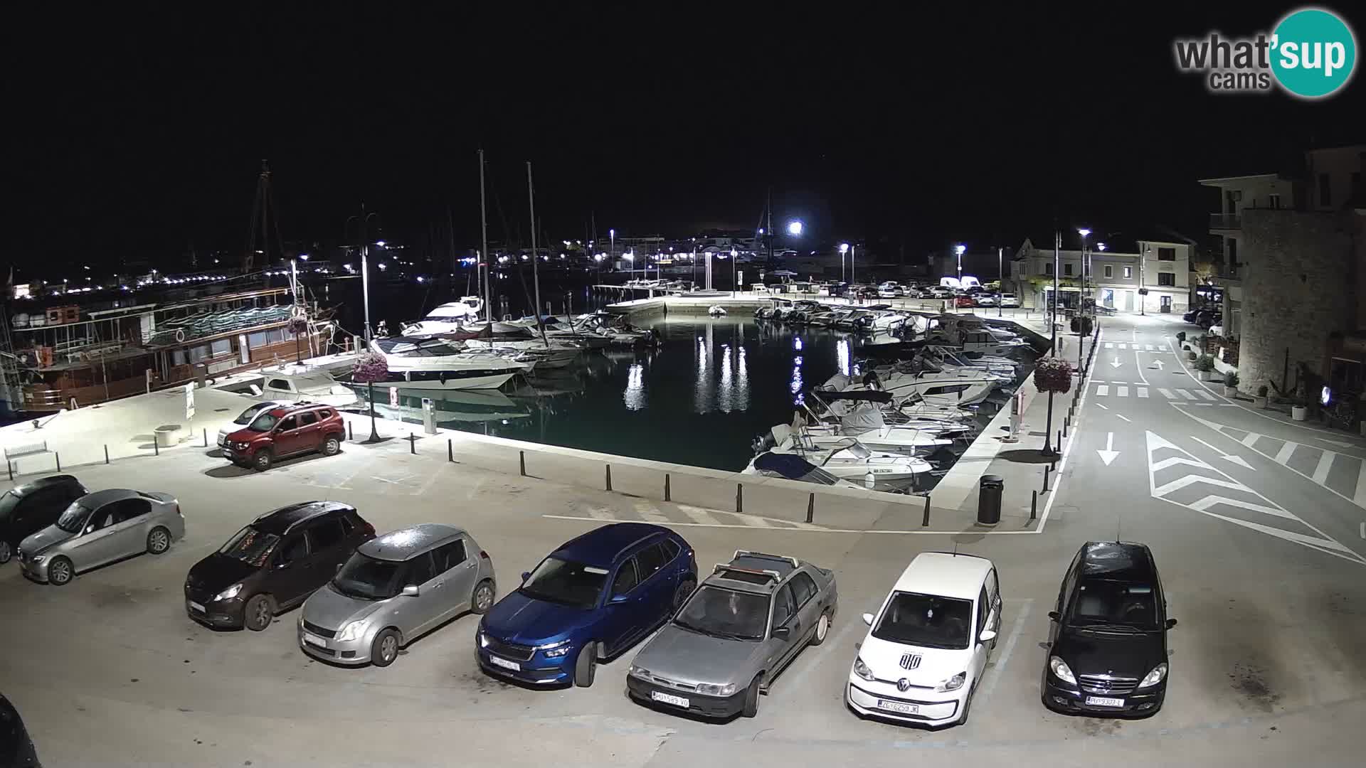 Novigrad | Porporela marina