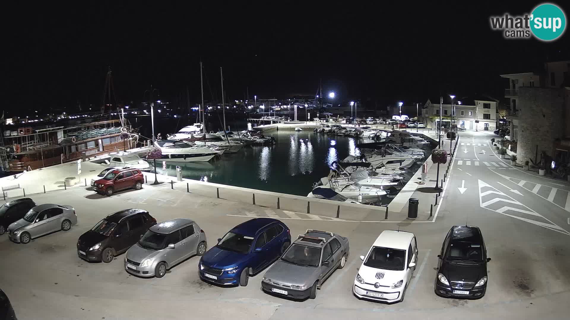 Novigrad | Porporela marina