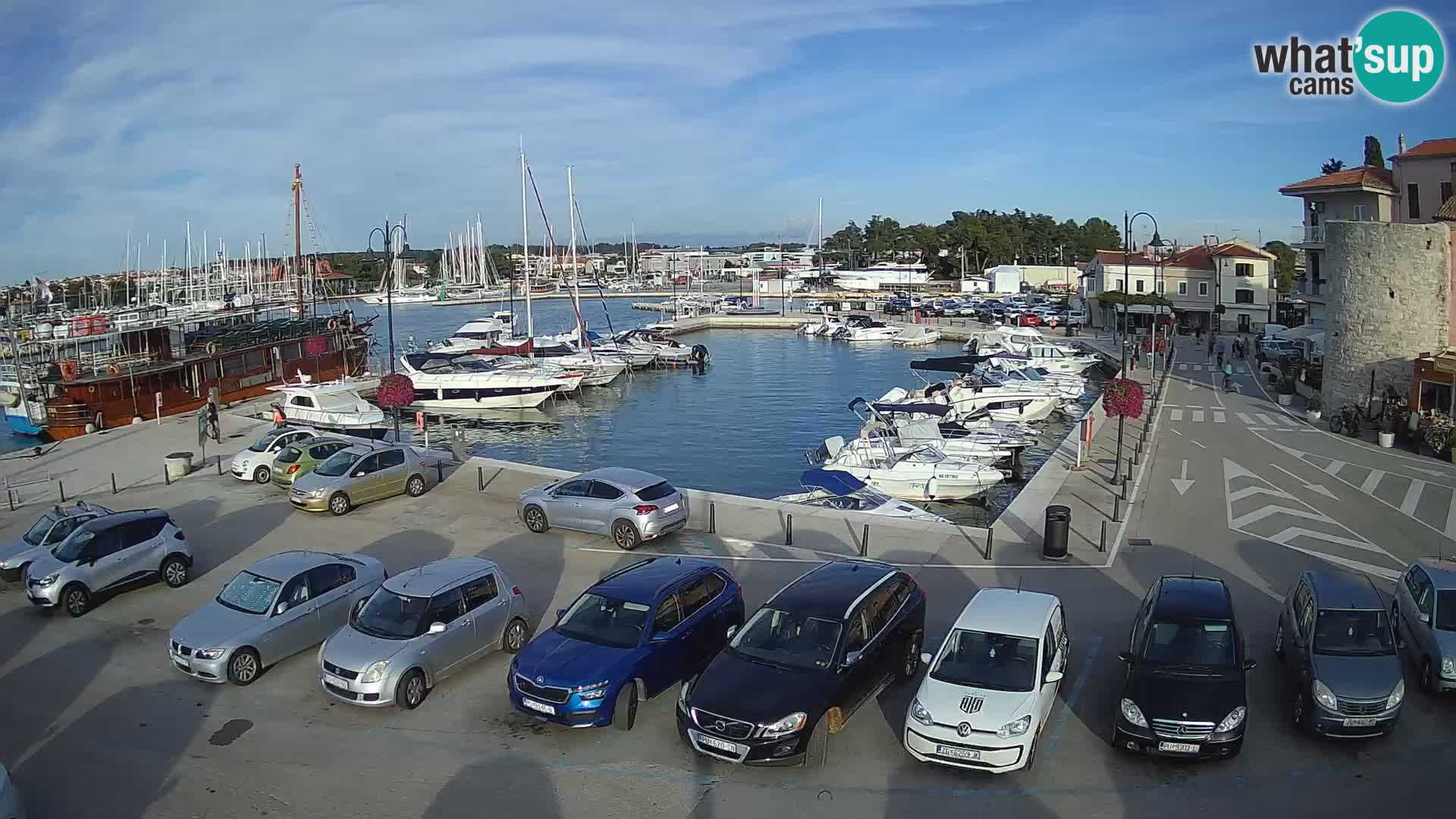 Novigrad | Porporela marina