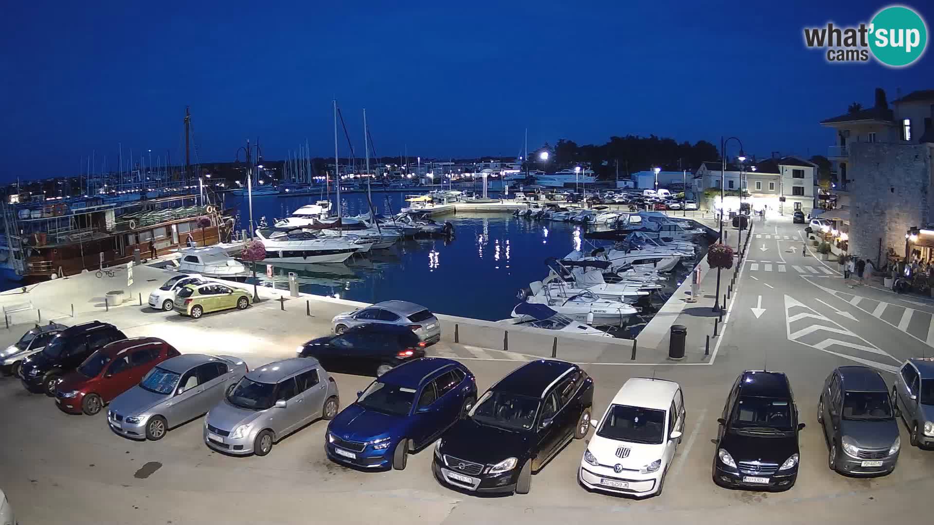 Novigrad | Porporela marina