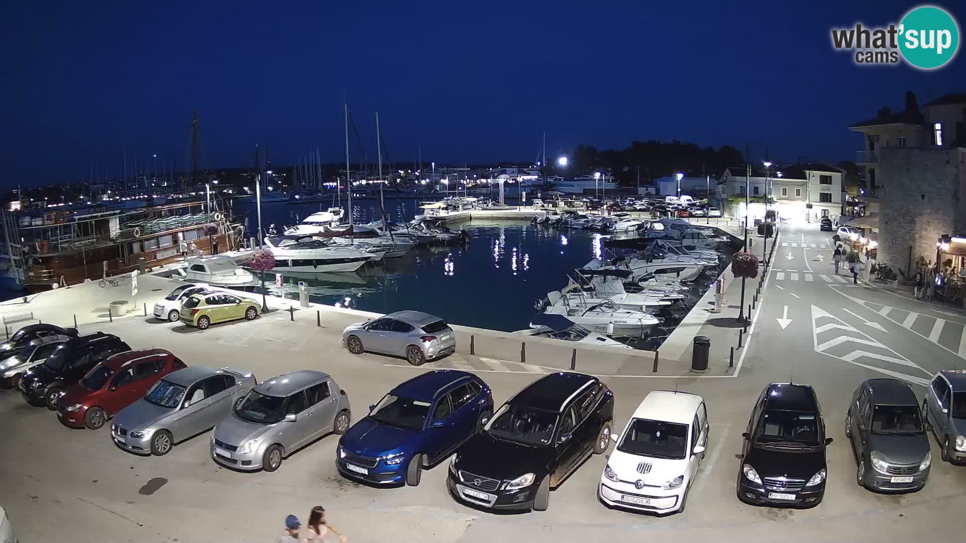 Novigrad | Porporela marina