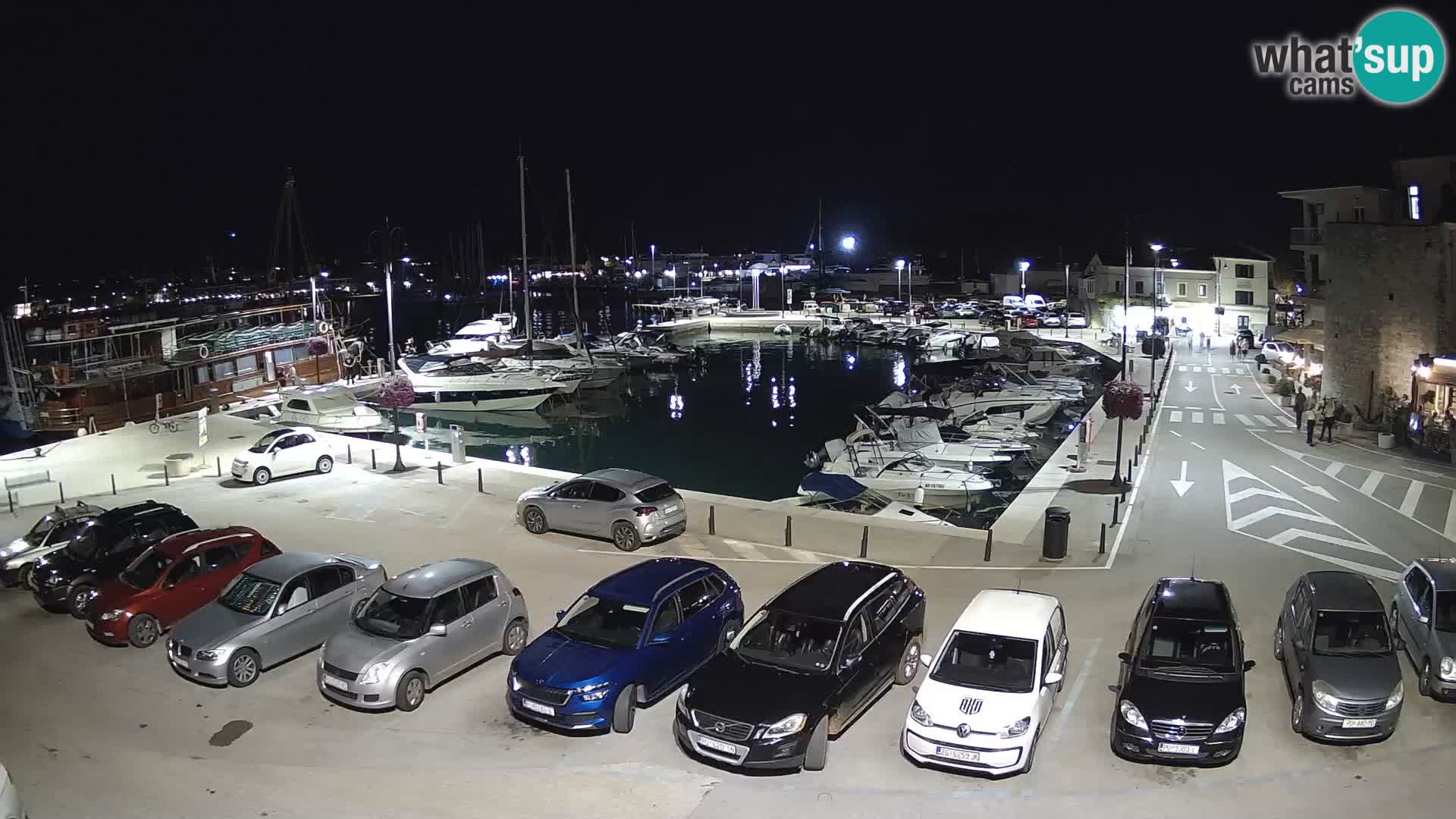 Novigrad | Porporela marina