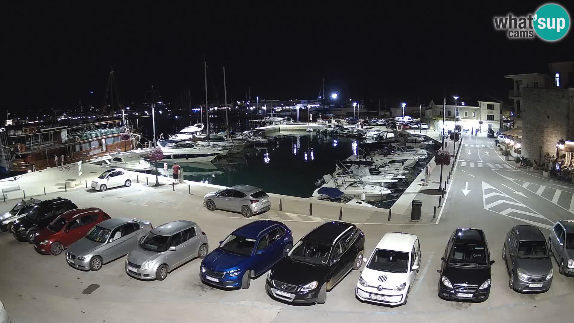Novigrad | Porporela marina