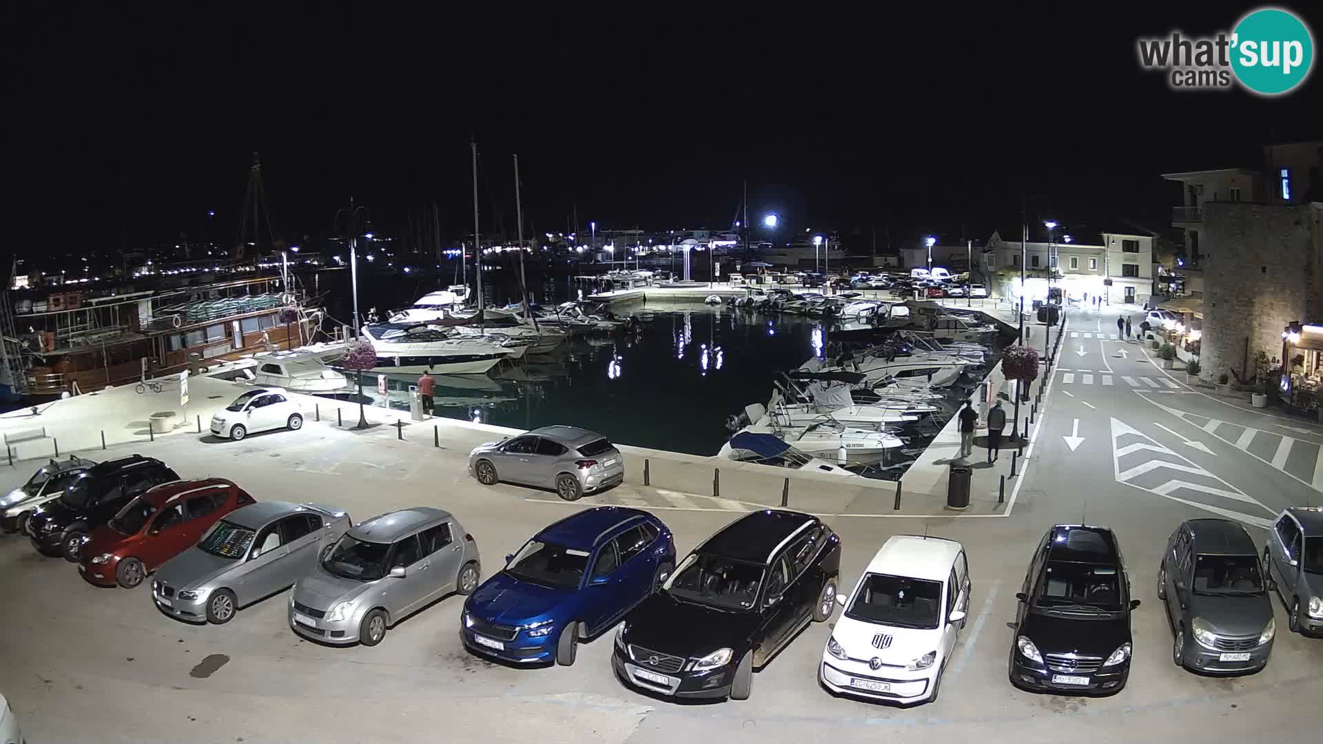 Novigrad | Porporela marina