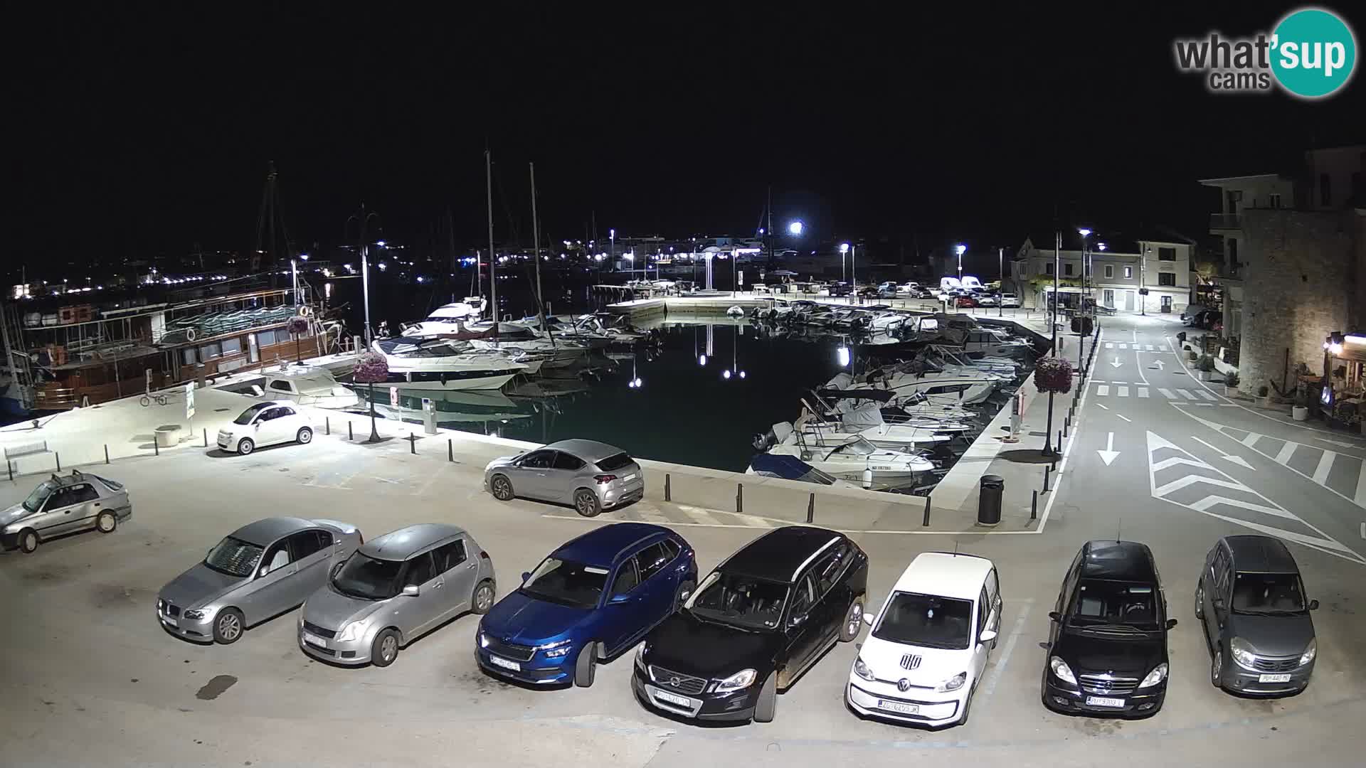 Novigrad | Porporela marina
