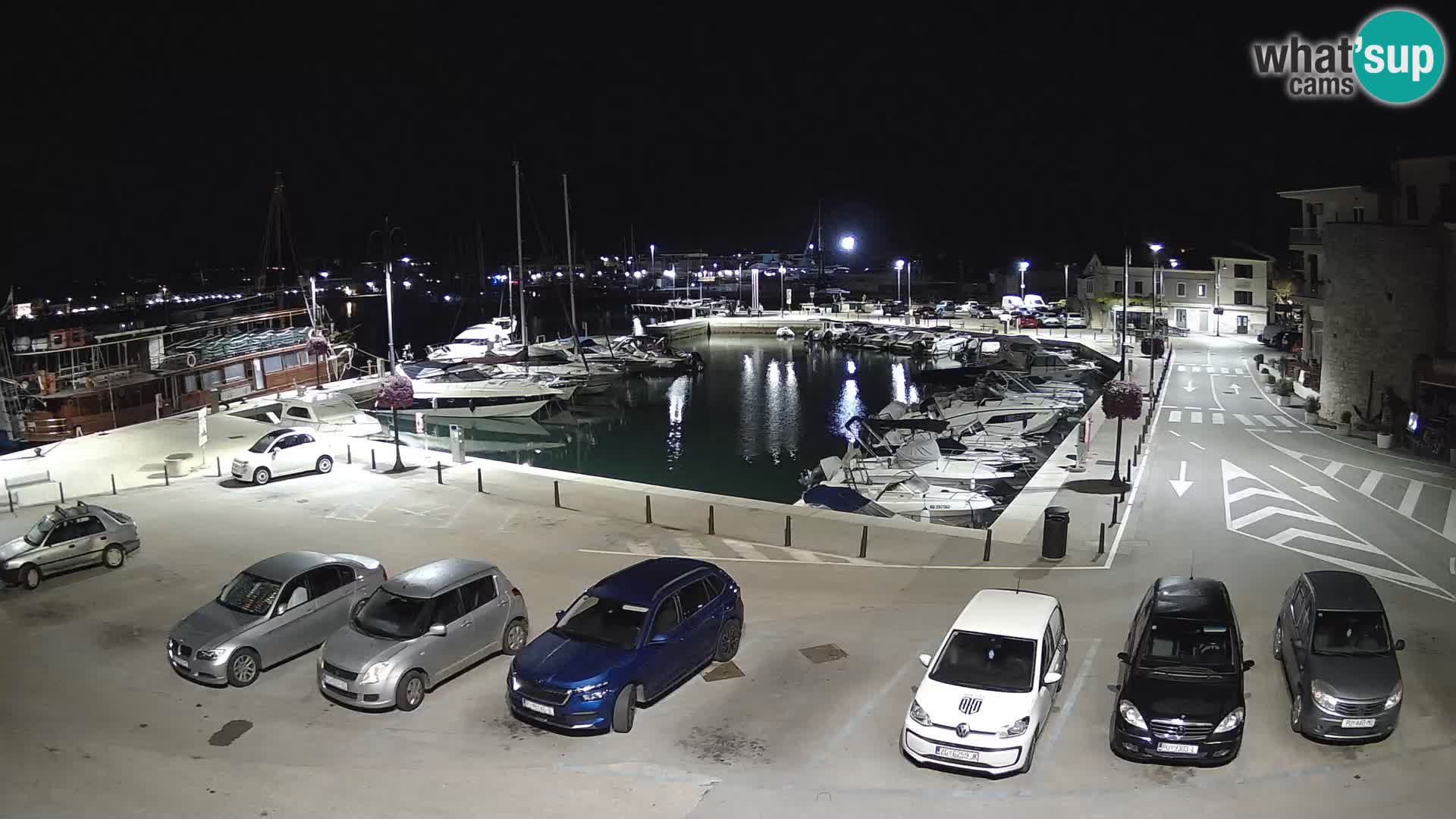 Novigrad | Porporela marina