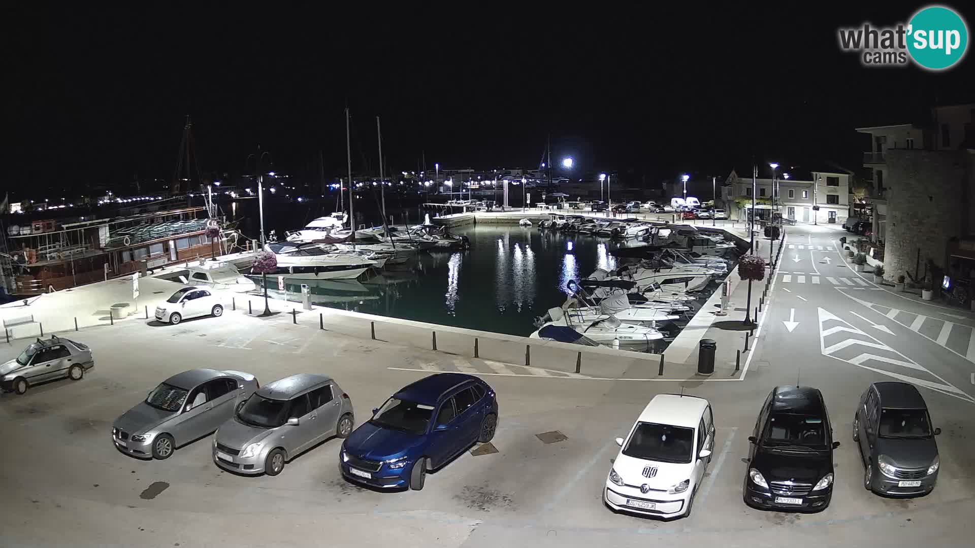 Novigrad | Porporela marina
