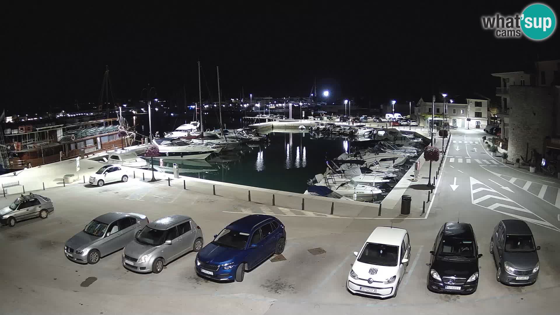 Novigrad | Porporela marina