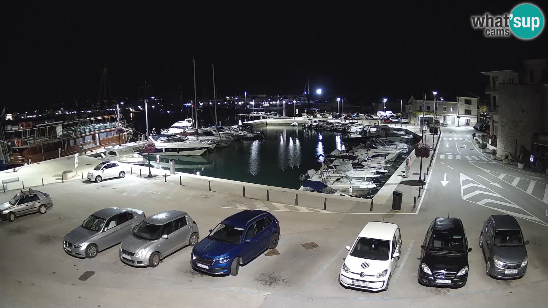 Novigrad | Porporela marina
