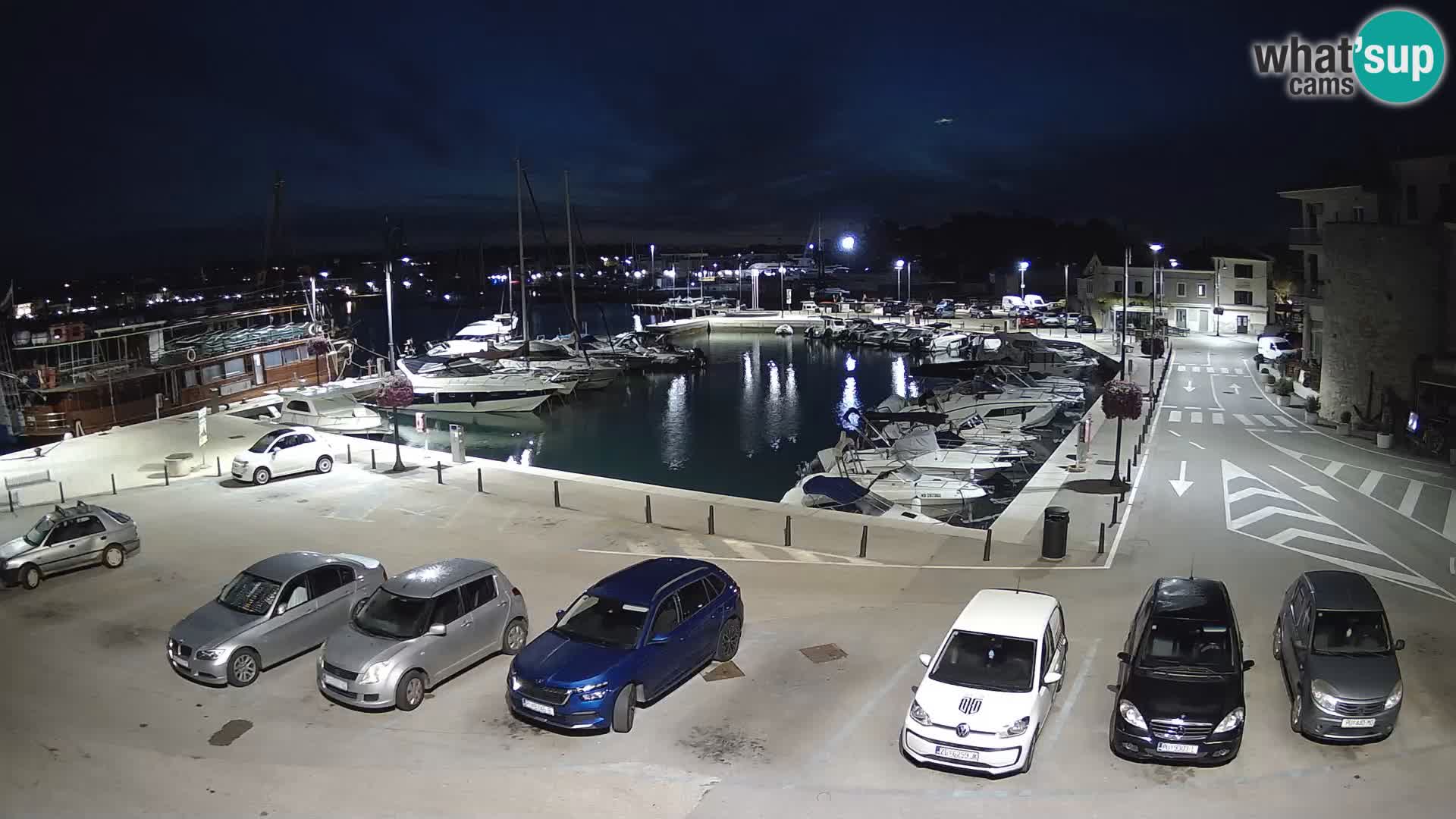 Novigrad | Porporela marina