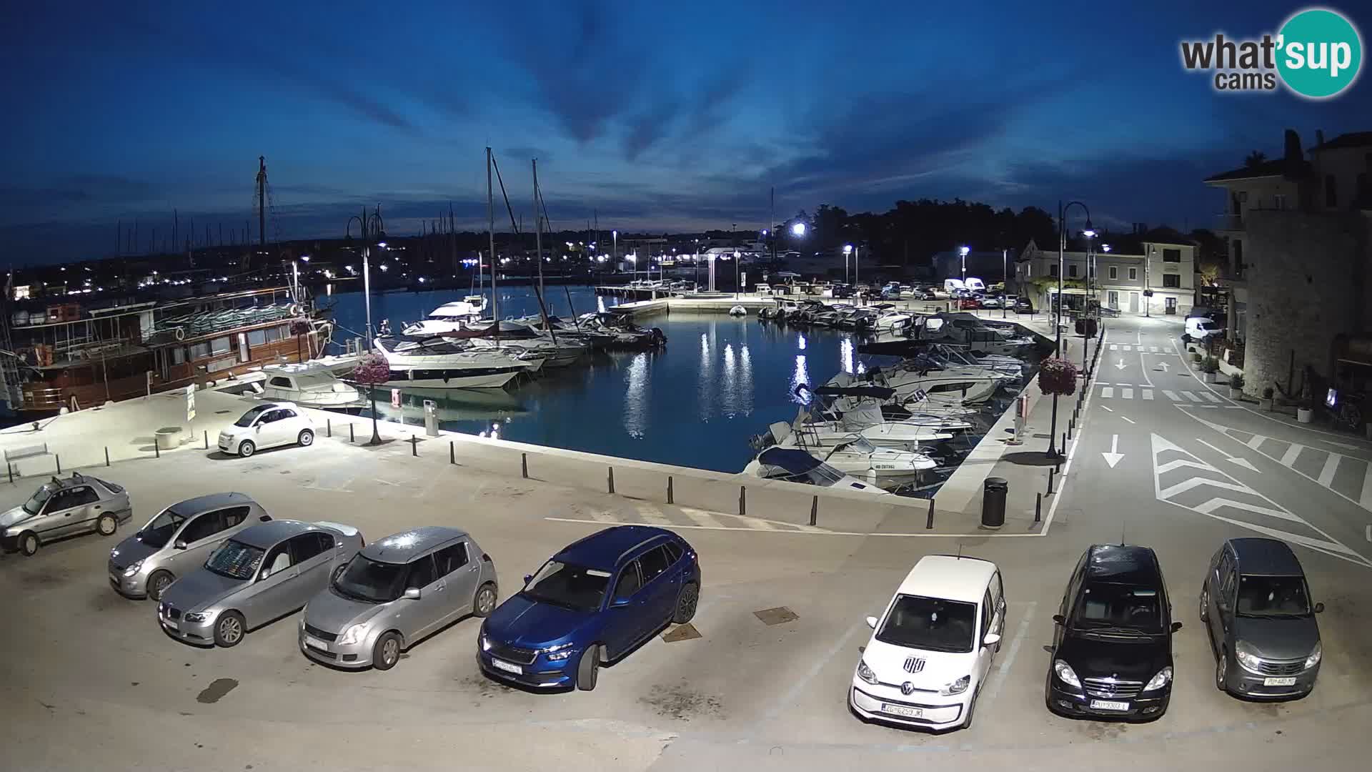 Novigrad | Porporela marina